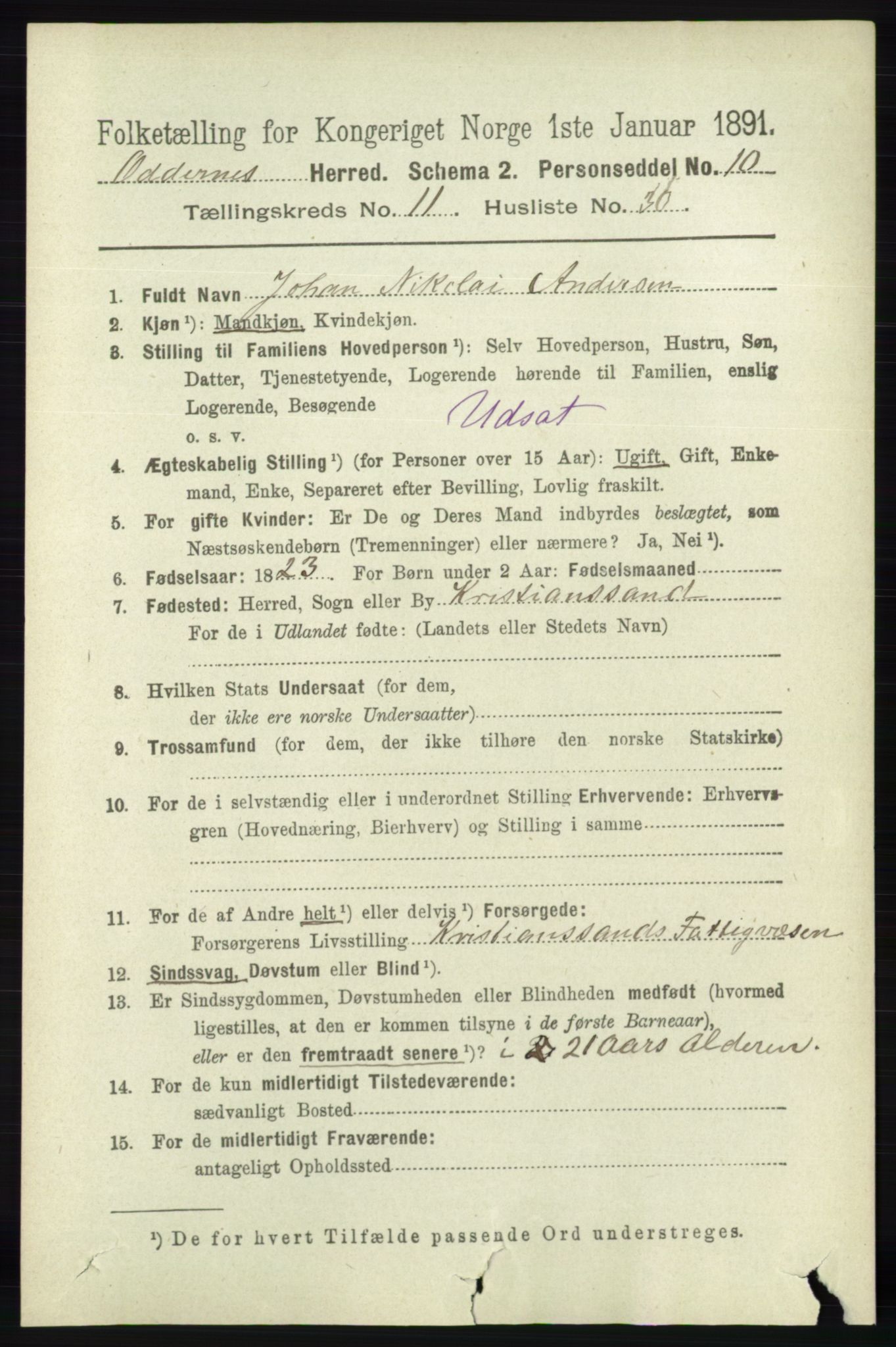 RA, 1891 census for 1012 Oddernes, 1891, p. 4307