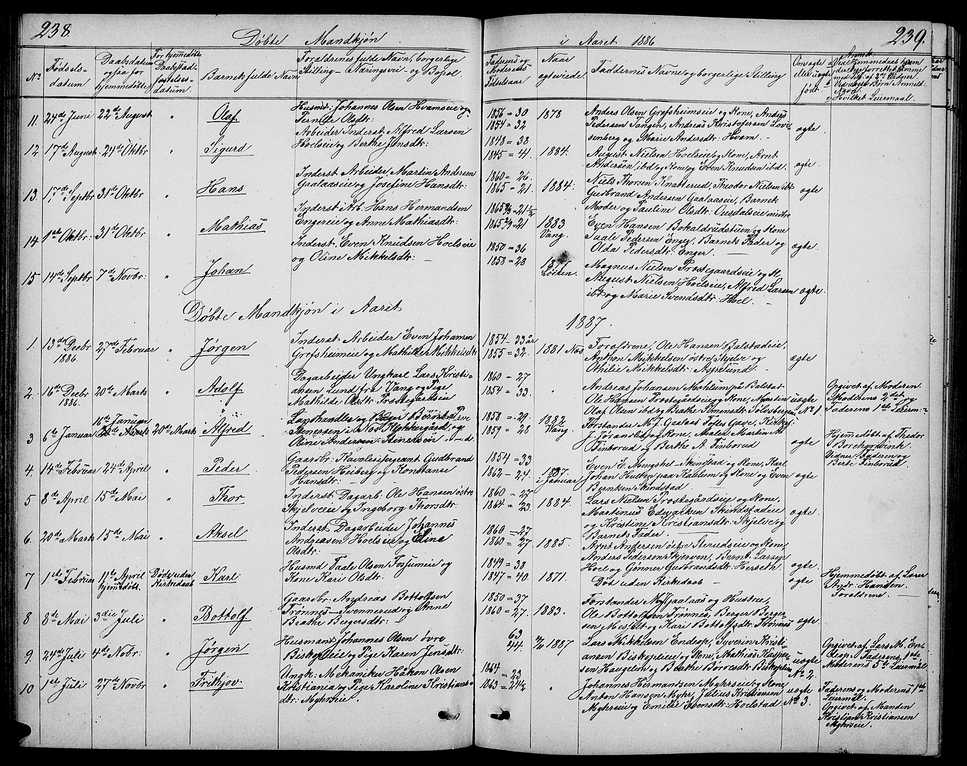 Nes prestekontor, Hedmark, SAH/PREST-020/L/La/L0005: Parish register (copy) no. 5, 1852-1889, p. 238-239