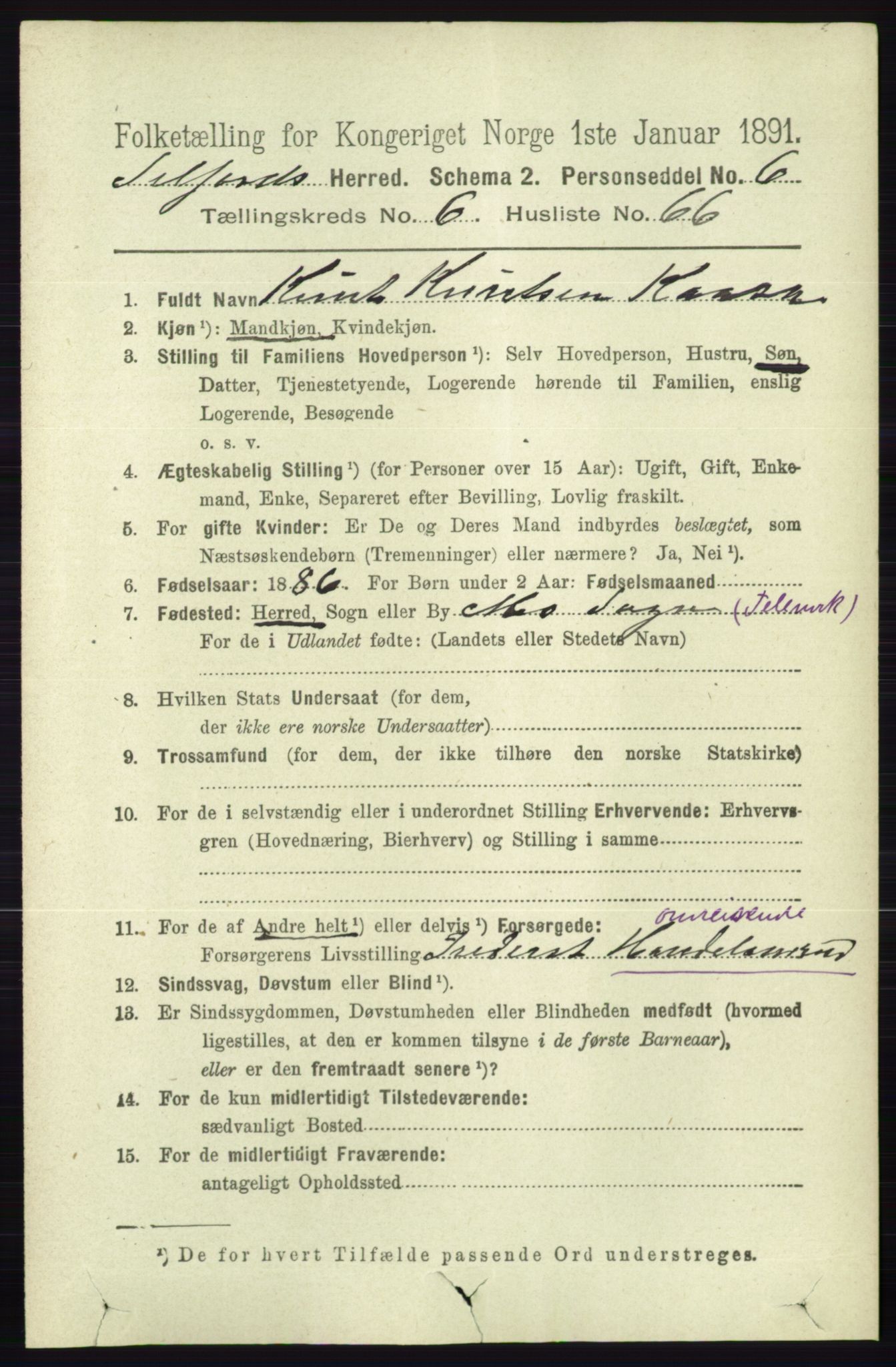 RA, 1891 census for 0828 Seljord, 1891, p. 2554