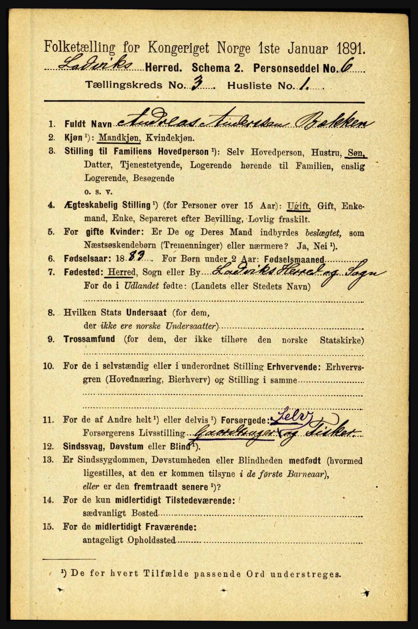 RA, 1891 census for 1415 Lavik og Brekke, 1891, p. 502