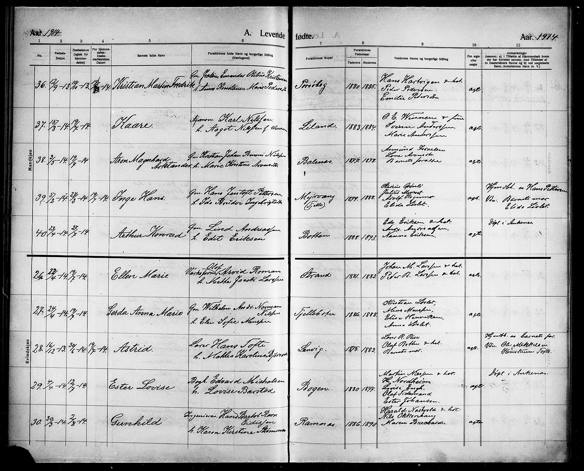 Ministerialprotokoller, klokkerbøker og fødselsregistre - Nordland, AV/SAT-A-1459/863/L0916: Parish register (copy) no. 863C06, 1907-1921