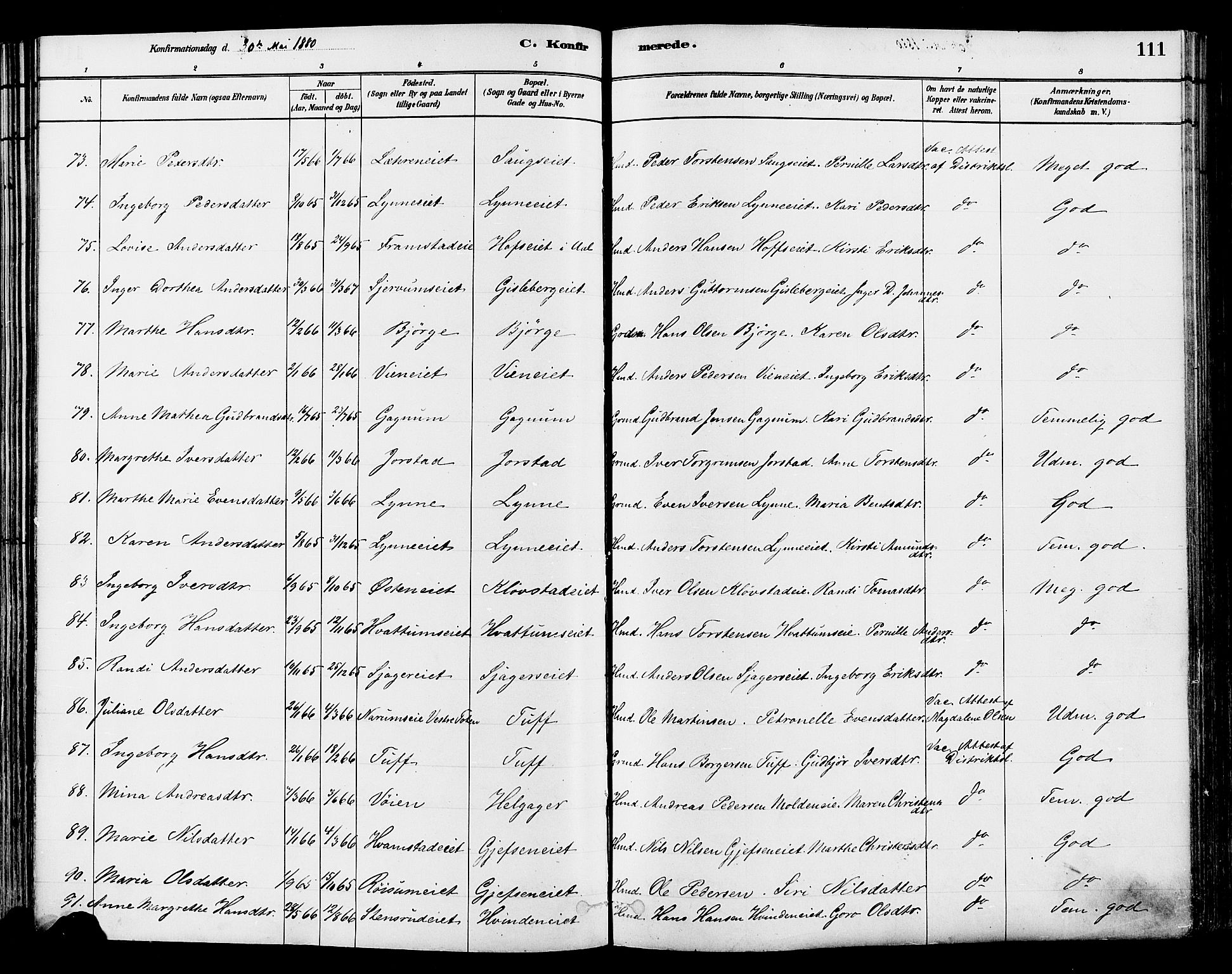 Gran prestekontor, SAH/PREST-112/H/Ha/Haa/L0014: Parish register (official) no. 14, 1880-1889, p. 111