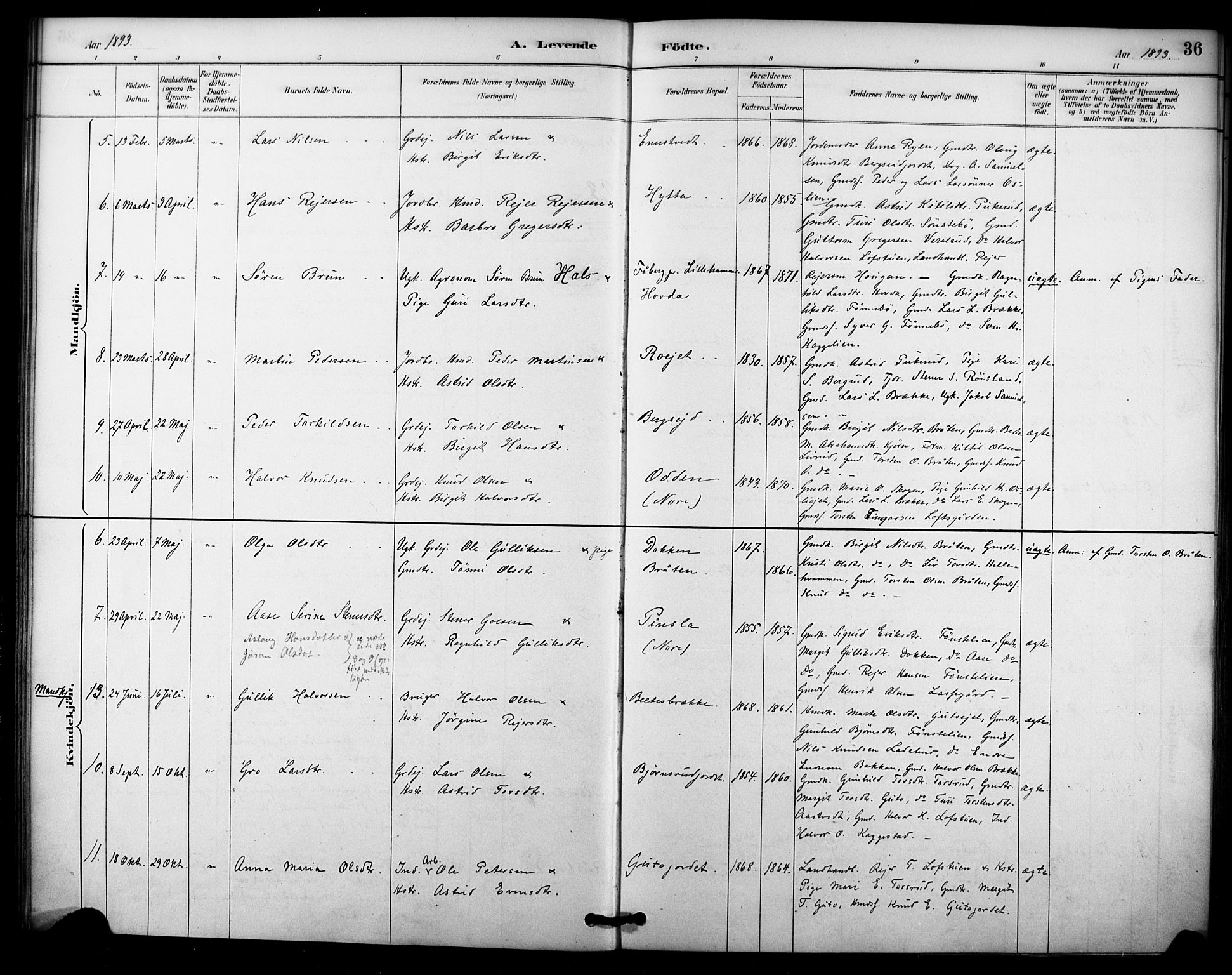 Nore kirkebøker, SAKO/A-238/F/Fc/L0004: Parish register (official) no. III 4, 1885-1898, p. 36