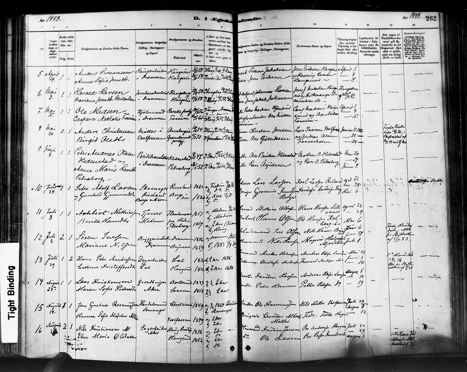 Eiker kirkebøker, SAKO/A-4/F/Fb/L0001: Parish register (official) no. II 1, 1878-1888, p. 262