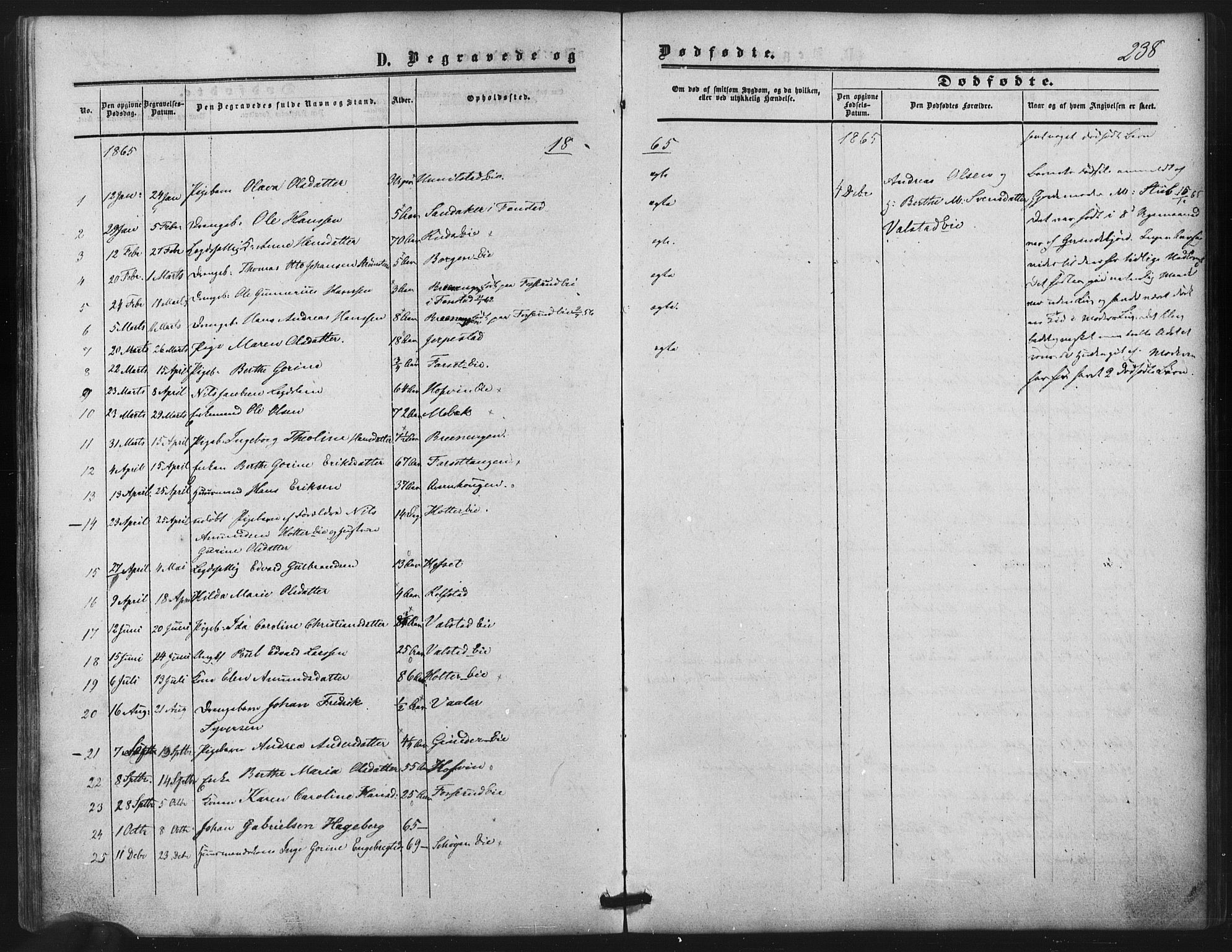 Nes prestekontor Kirkebøker, SAO/A-10410/F/Fb/L0001: Parish register (official) no. II 1, 1859-1882, p. 238