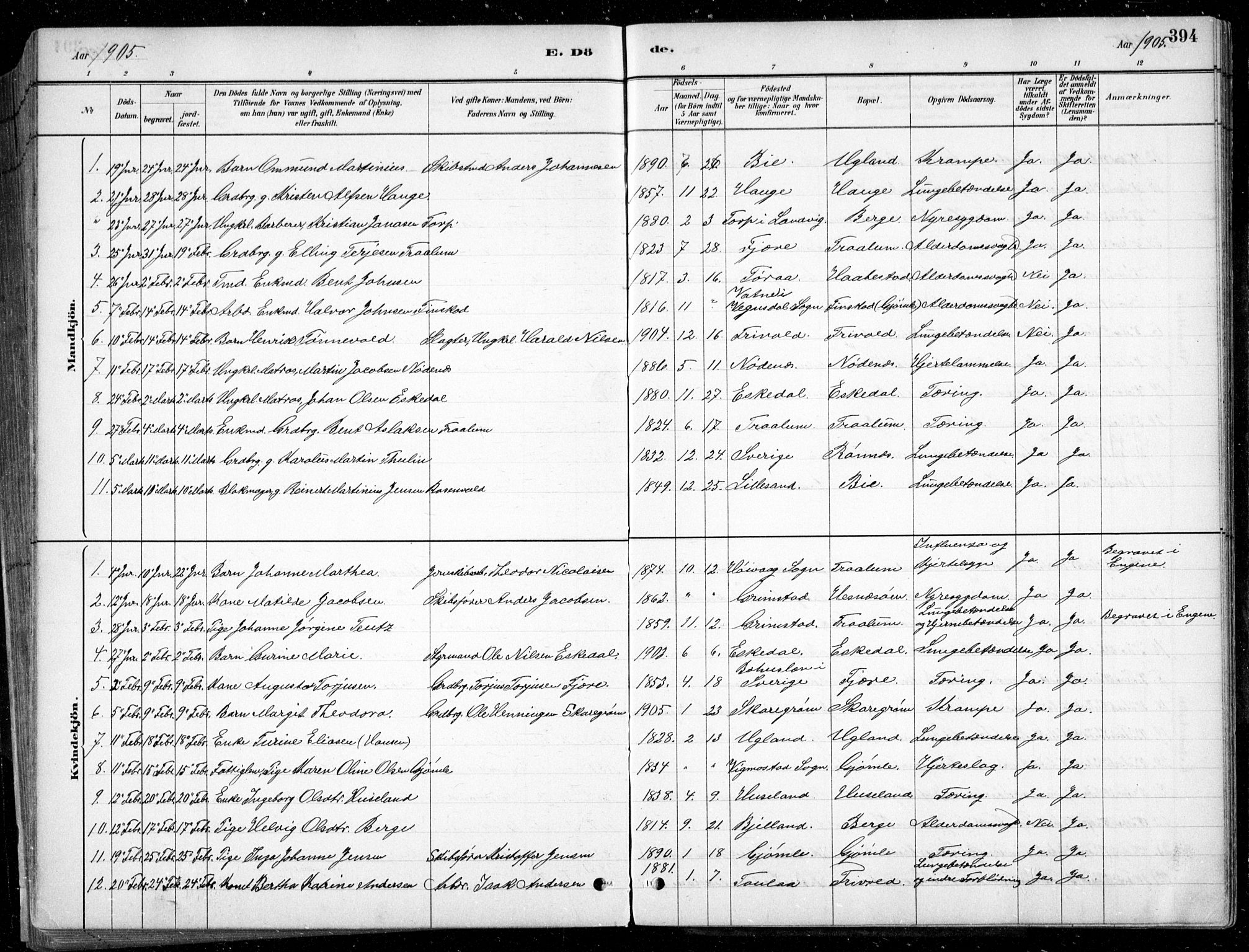 Fjære sokneprestkontor, SAK/1111-0011/F/Fb/L0011: Parish register (copy) no. B 11, 1881-1905, p. 394