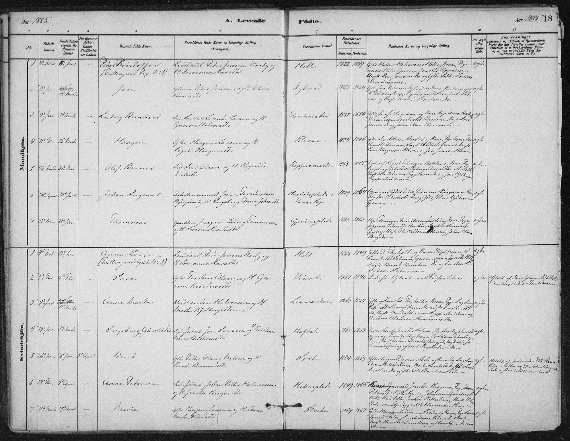 Ministerialprotokoller, klokkerbøker og fødselsregistre - Nord-Trøndelag, SAT/A-1458/710/L0095: Parish register (official) no. 710A01, 1880-1914, p. 18