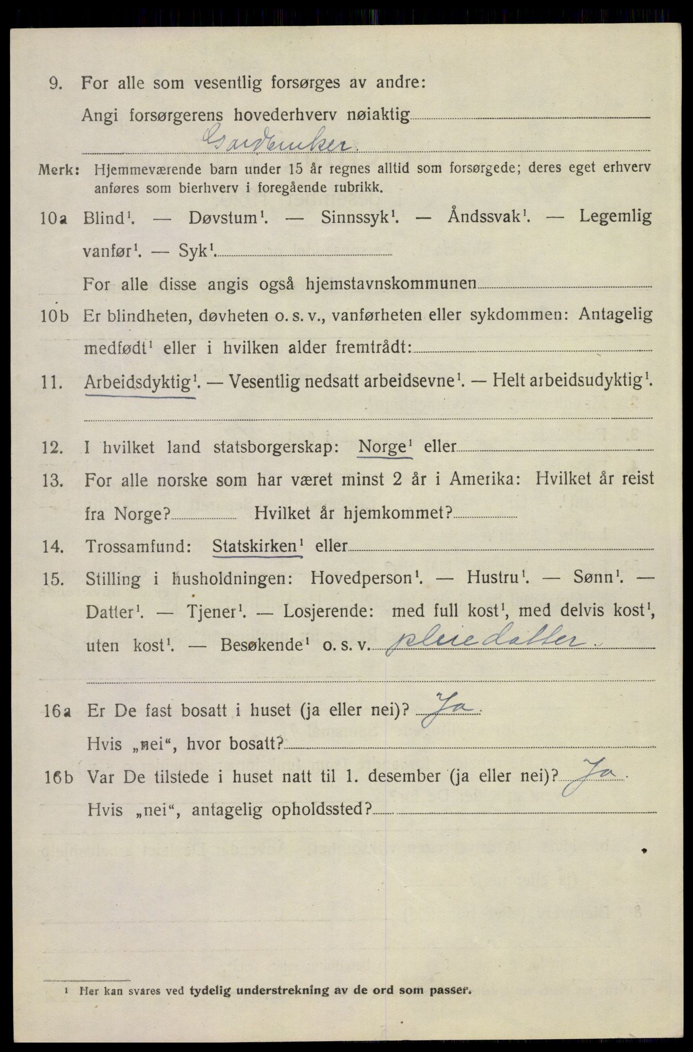 SAKO, 1920 census for Tinn, 1920, p. 4343