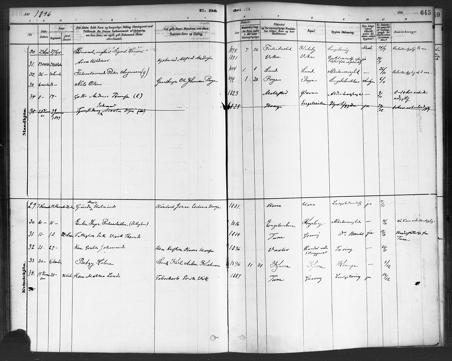 Onsøy prestekontor Kirkebøker, SAO/A-10914/F/Fa/L0006: Parish register (official) no. I 6, 1878-1898, p. 645