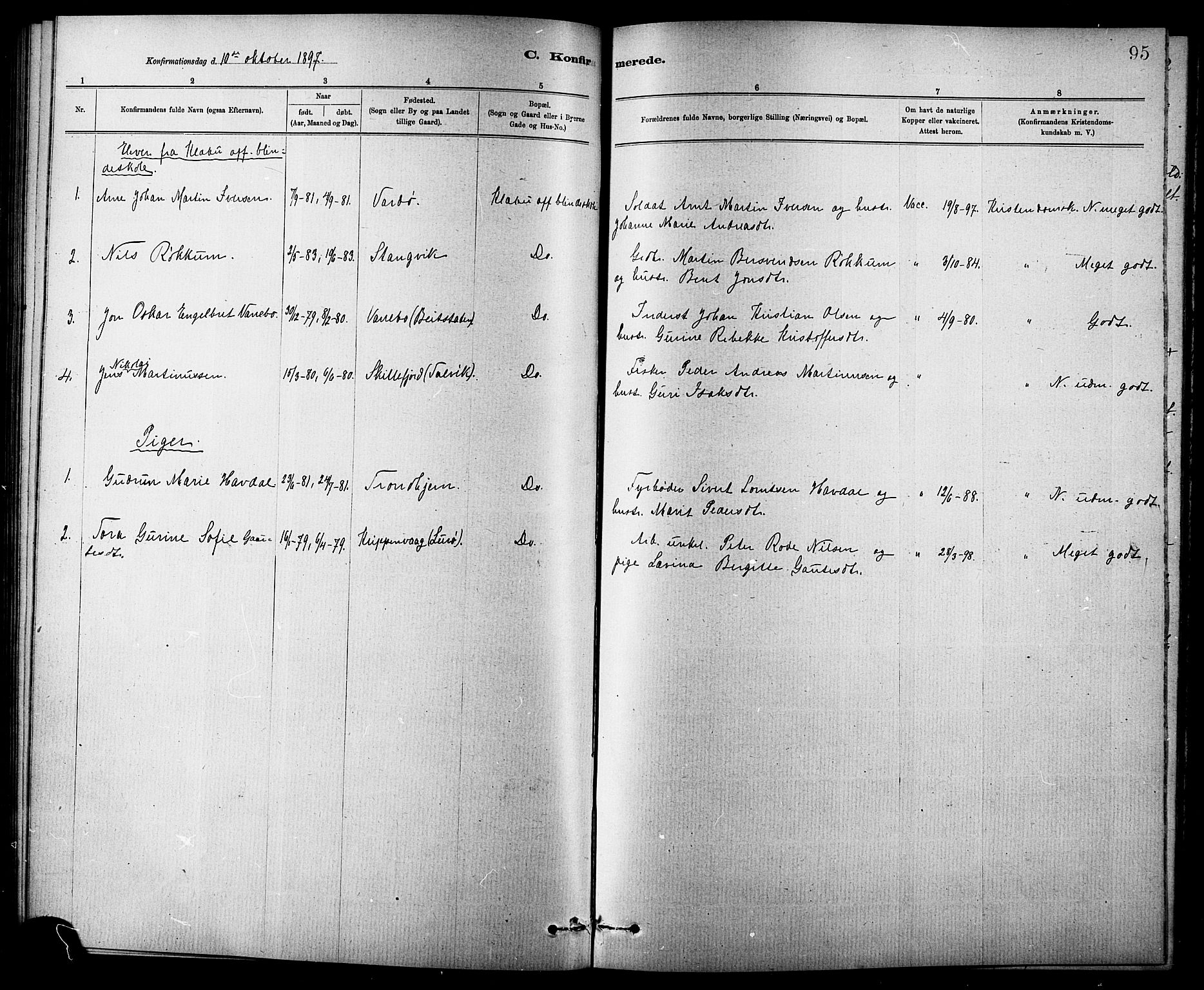 Ministerialprotokoller, klokkerbøker og fødselsregistre - Sør-Trøndelag, AV/SAT-A-1456/618/L0452: Parish register (copy) no. 618C03, 1884-1906, p. 95