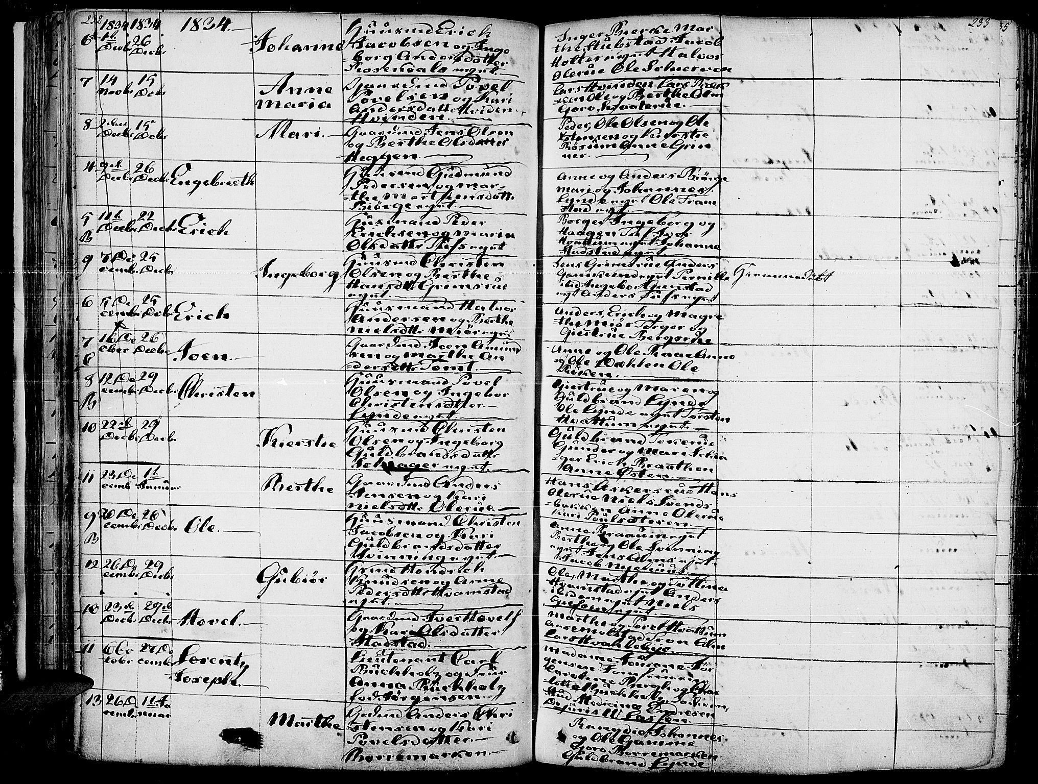 Gran prestekontor, SAH/PREST-112/H/Ha/Haa/L0010: Parish register (official) no. 10, 1824-1842, p. 232-233