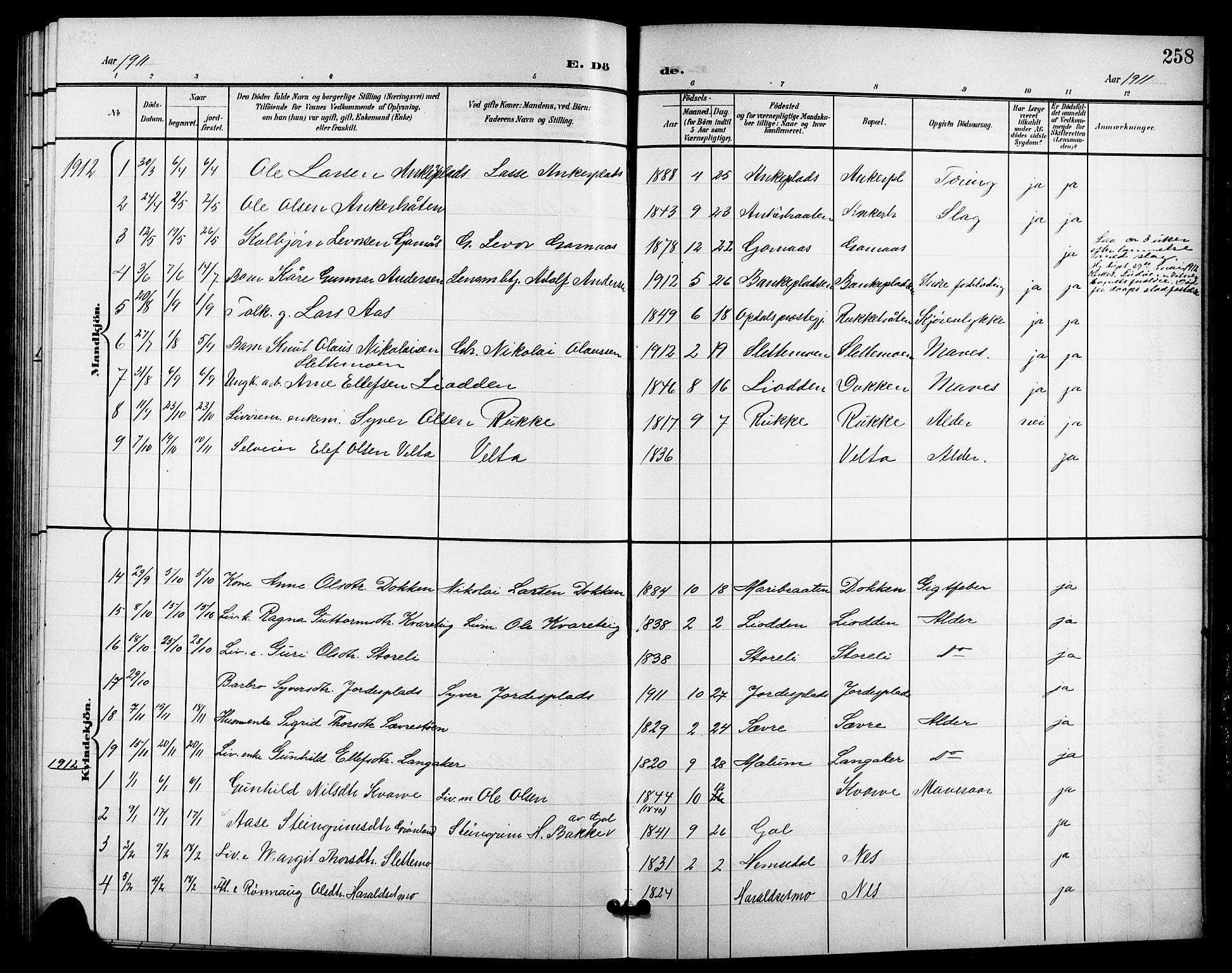 Nes kirkebøker, SAKO/A-236/G/Ga/L0004: Parish register (copy) no. I 4, 1900-1925, p. 258