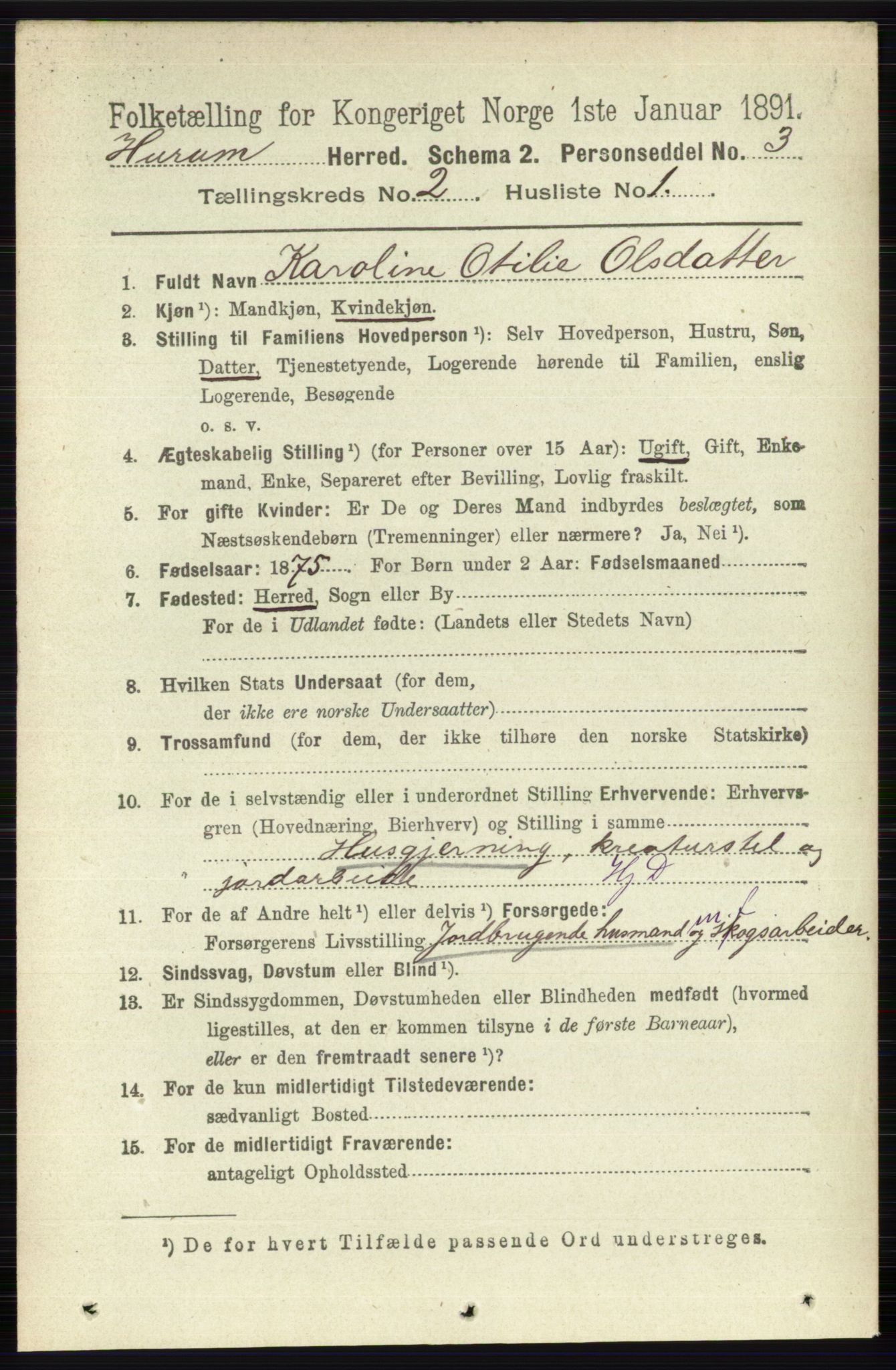 RA, 1891 census for 0628 Hurum, 1891, p. 500