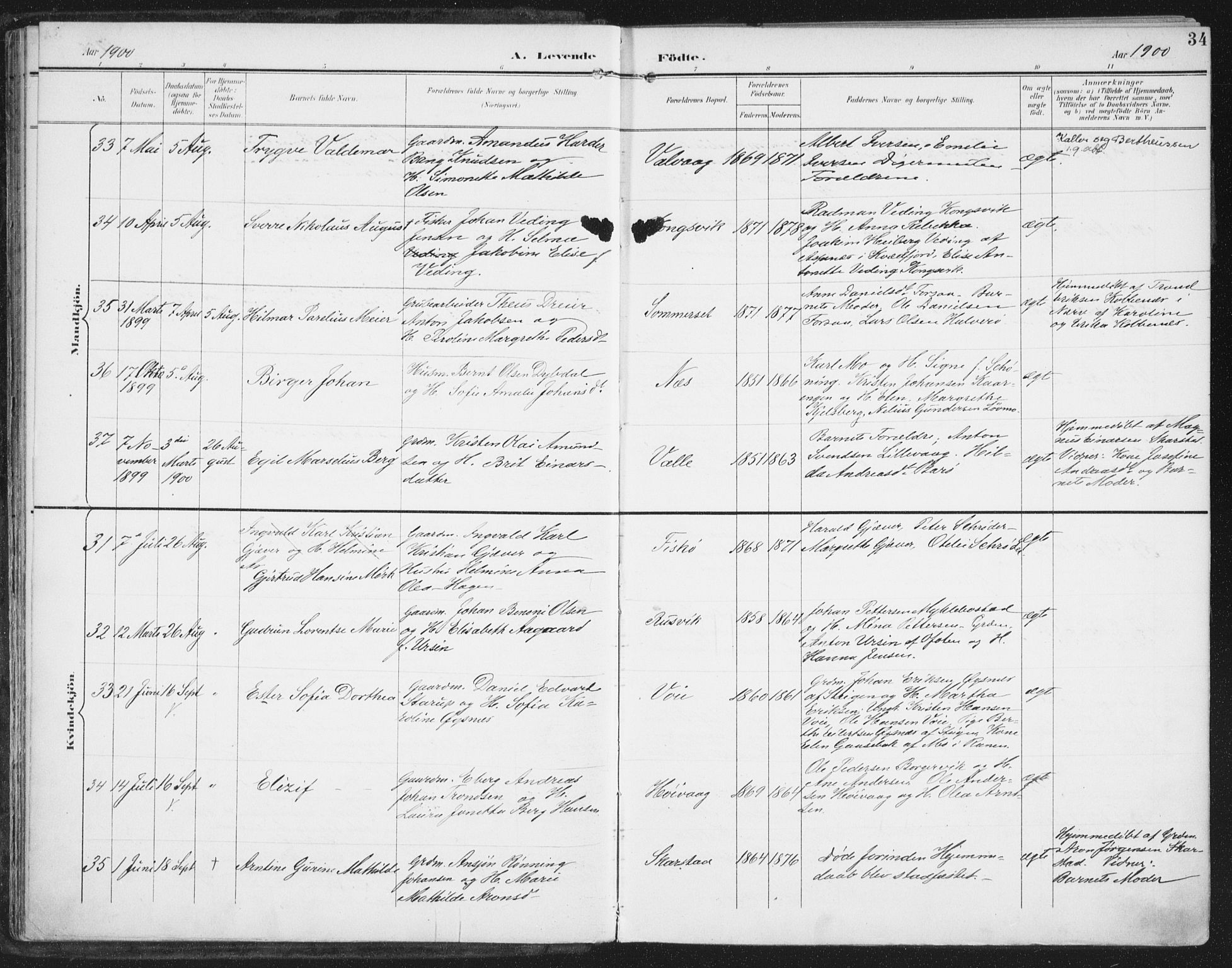 Ministerialprotokoller, klokkerbøker og fødselsregistre - Nordland, AV/SAT-A-1459/872/L1036: Parish register (official) no. 872A11, 1897-1913, p. 34