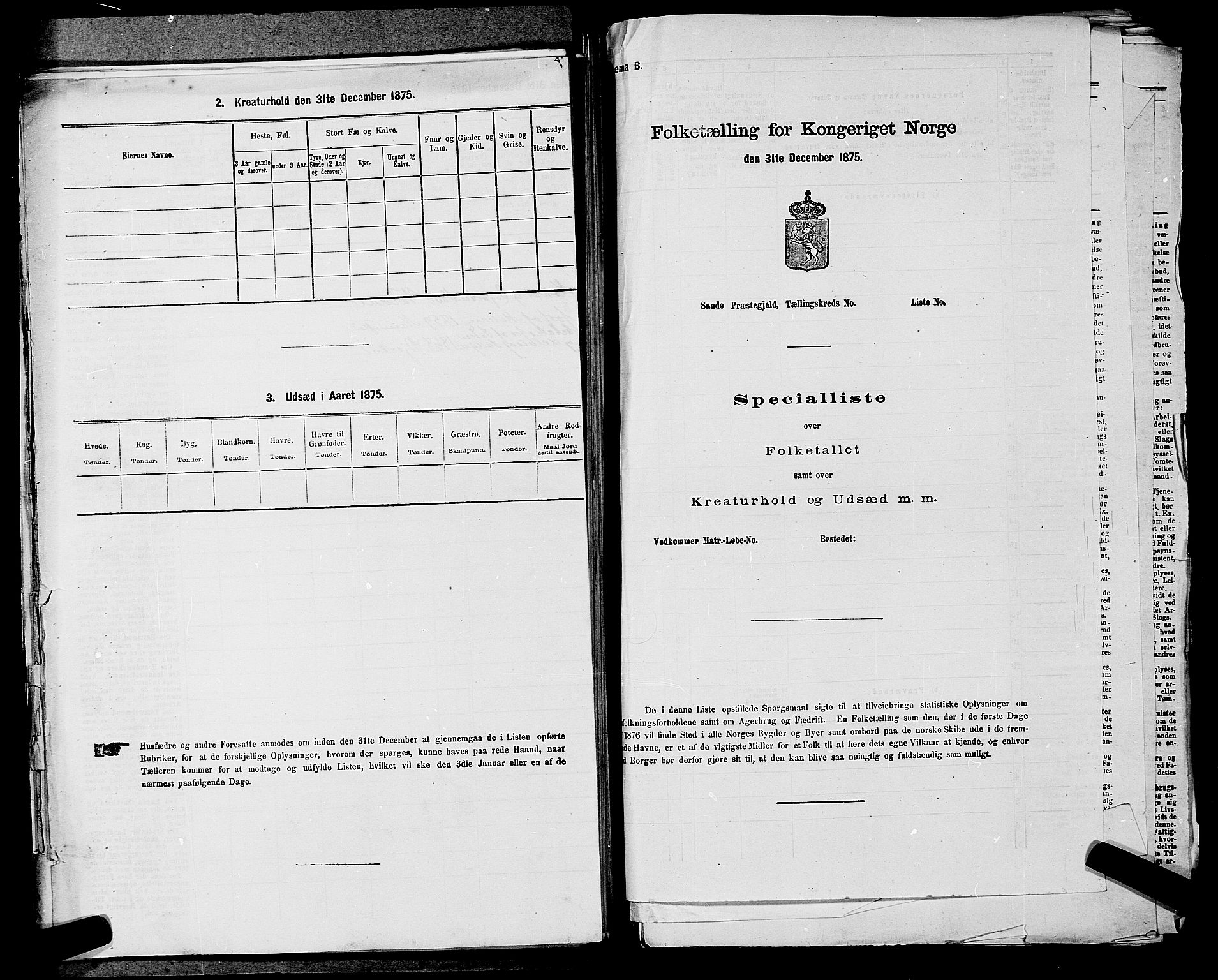 RA, 1875 census for 0238P Nannestad, 1875, p. 1248