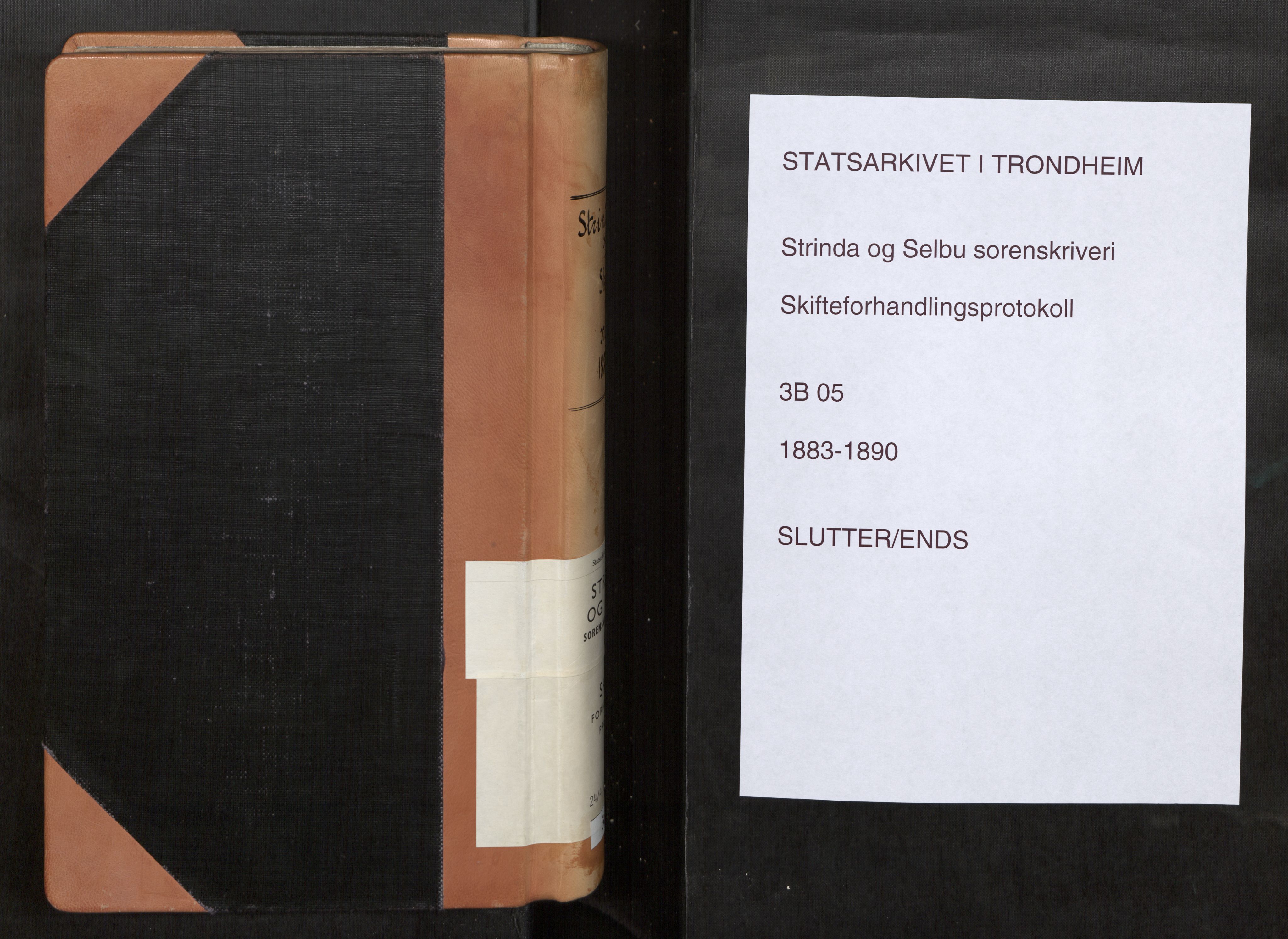 Strinda og Selbu sorenskriveri, SAT/A-0015/3/3B/L0005: Skifteforhandlingsprot. 5 5, 1883-1890