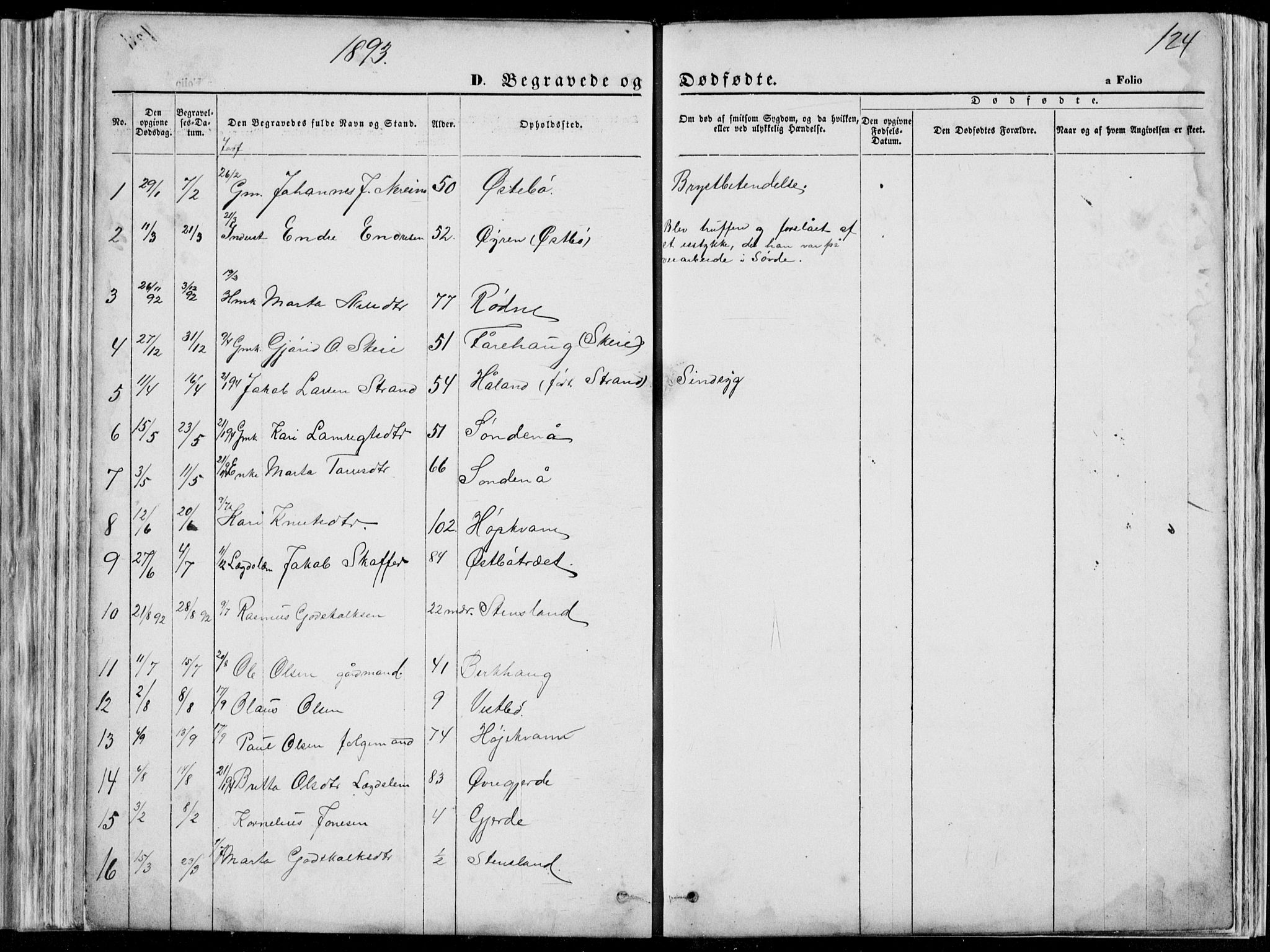 Vikedal sokneprestkontor, SAST/A-101840/01/V: Parish register (copy) no. B 10, 1864-1926, p. 124