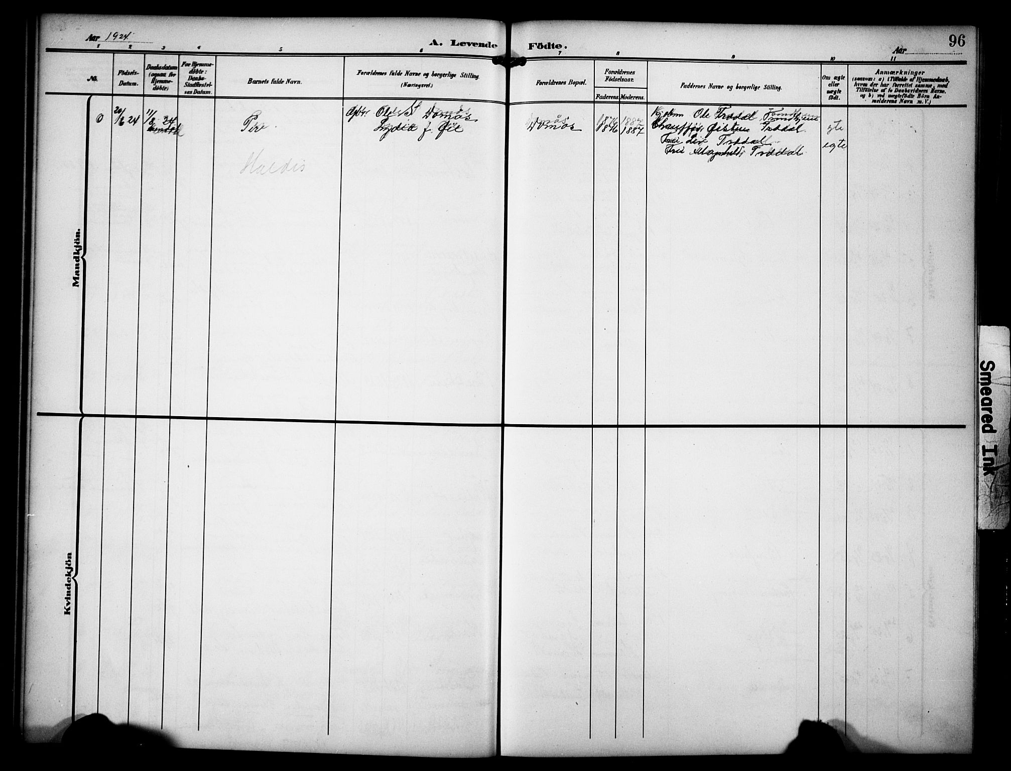 Dovre prestekontor, SAH/PREST-066/H/Ha/Hab/L0003: Parish register (copy) no. 3, 1907-1929, p. 96