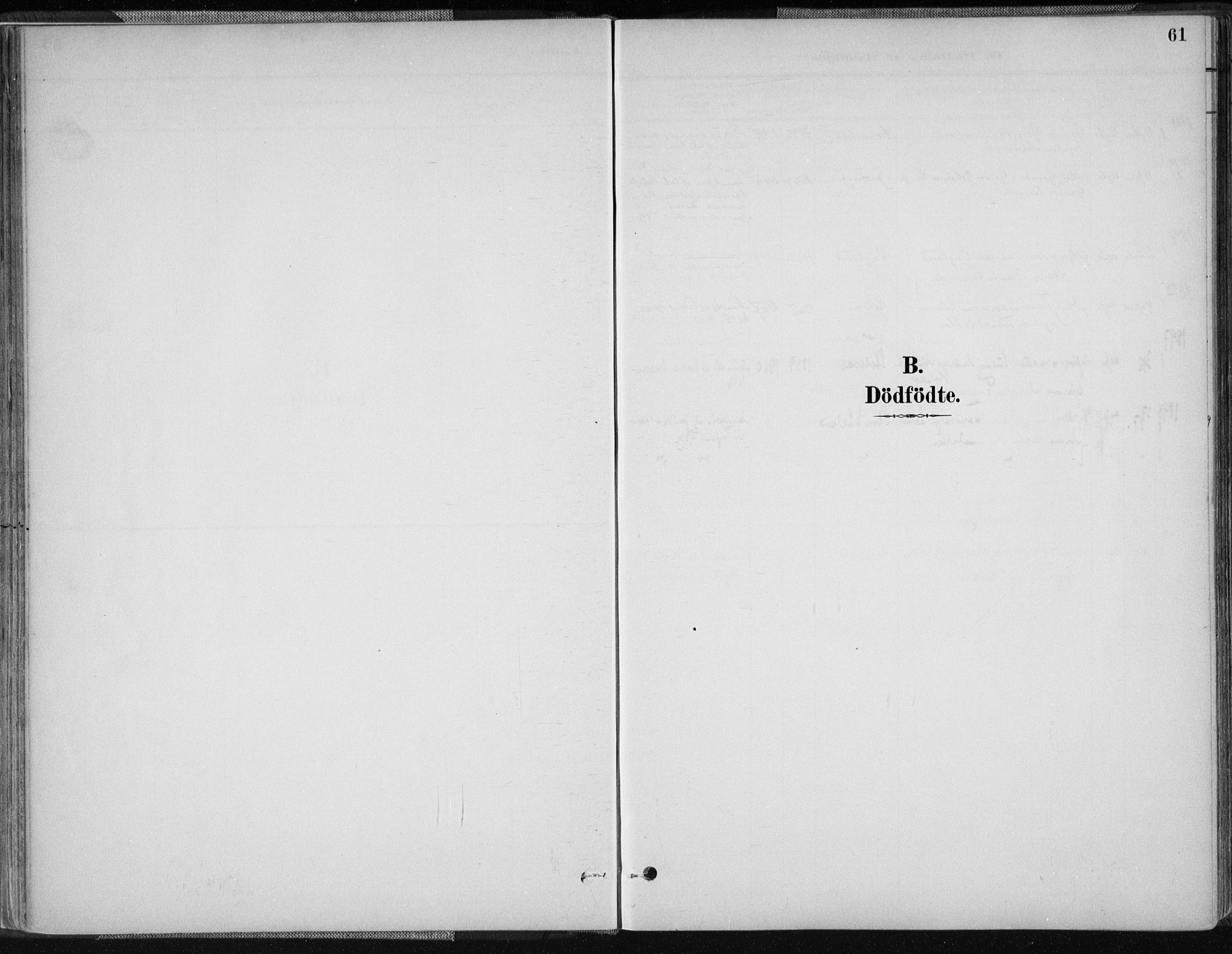 Nord-Audnedal sokneprestkontor, SAK/1111-0032/F/Fa/Fab/L0003: Parish register (official) no. A 3, 1882-1900, p. 61