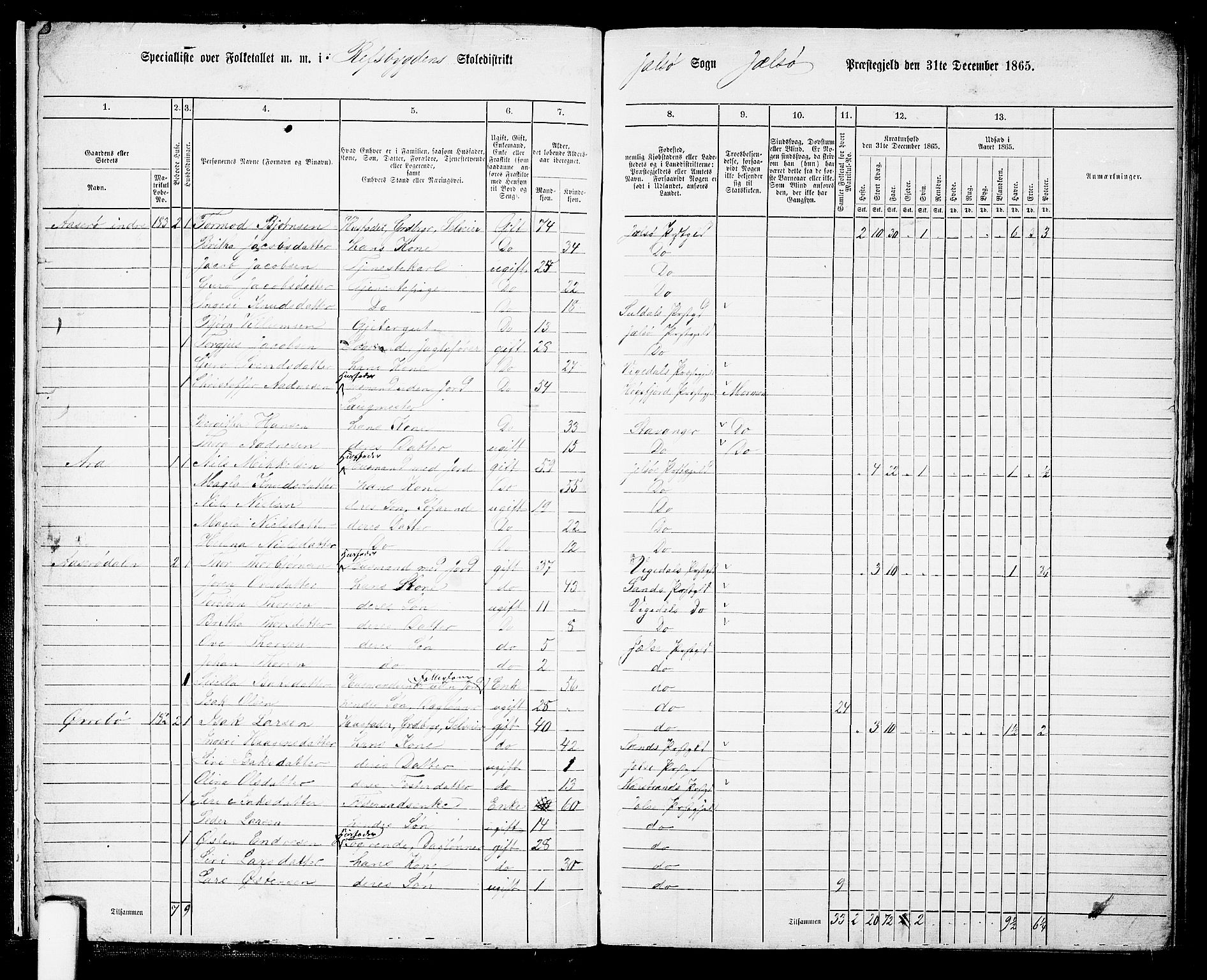 RA, 1865 census for Jelsa, 1865, p. 10