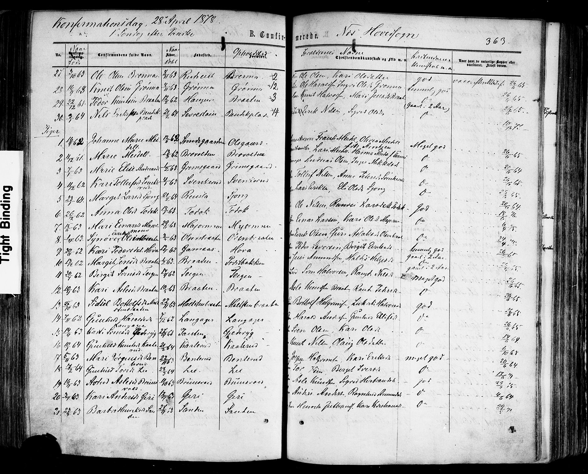 Nes kirkebøker, AV/SAKO-A-236/F/Fa/L0010: Parish register (official) no. 10, 1864-1880, p. 363