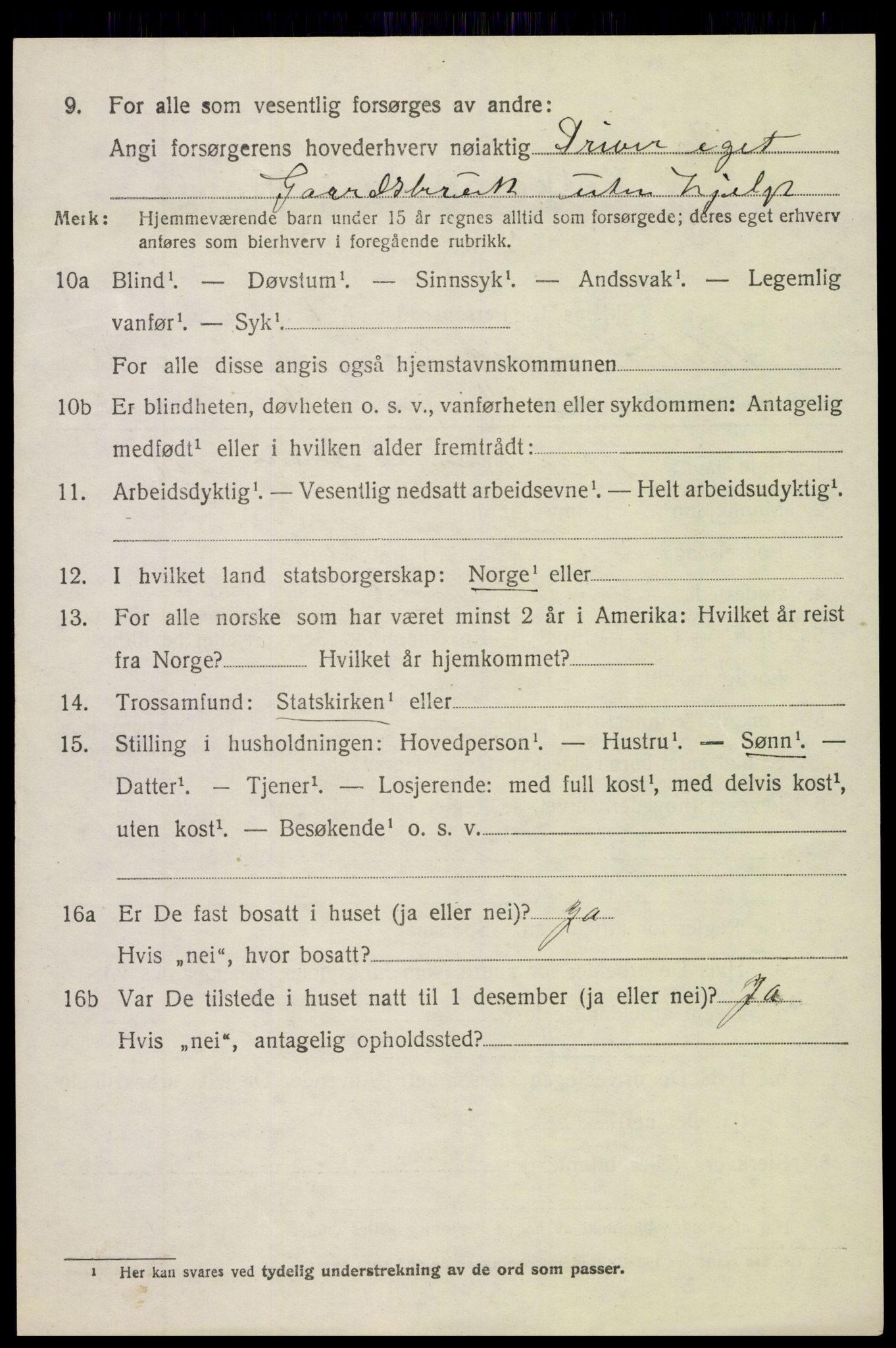 SAH, 1920 census for Søndre Land, 1920, p. 4990