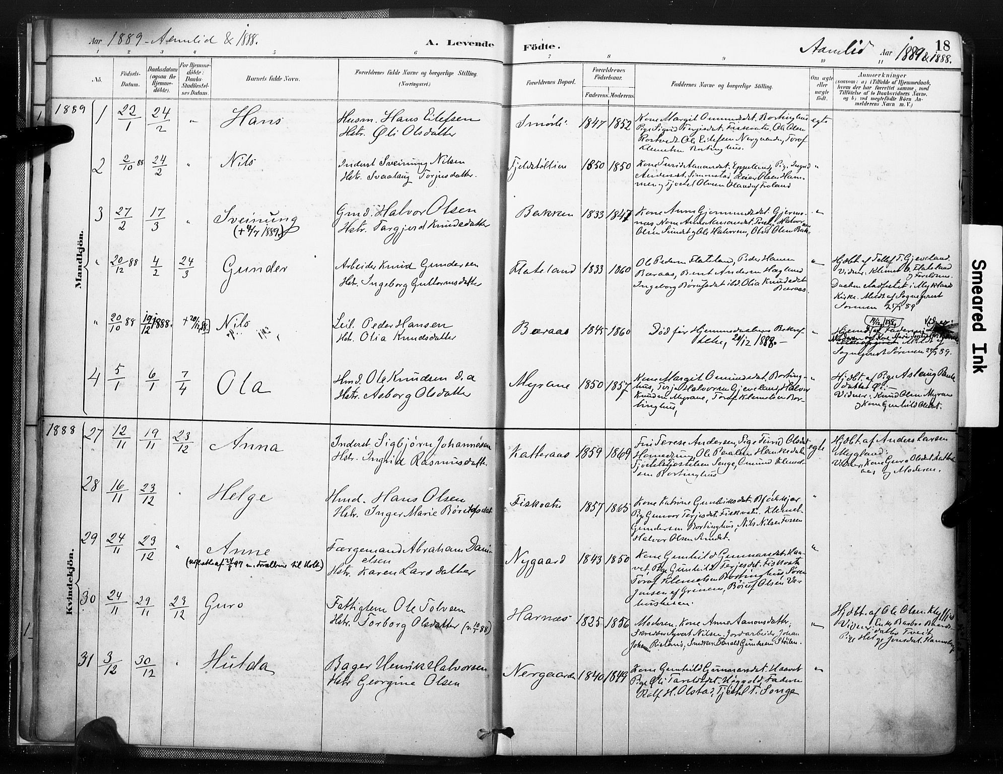 Åmli sokneprestkontor, SAK/1111-0050/F/Fa/Fac/L0010: Parish register (official) no. A 10 /1, 1885-1899, p. 18