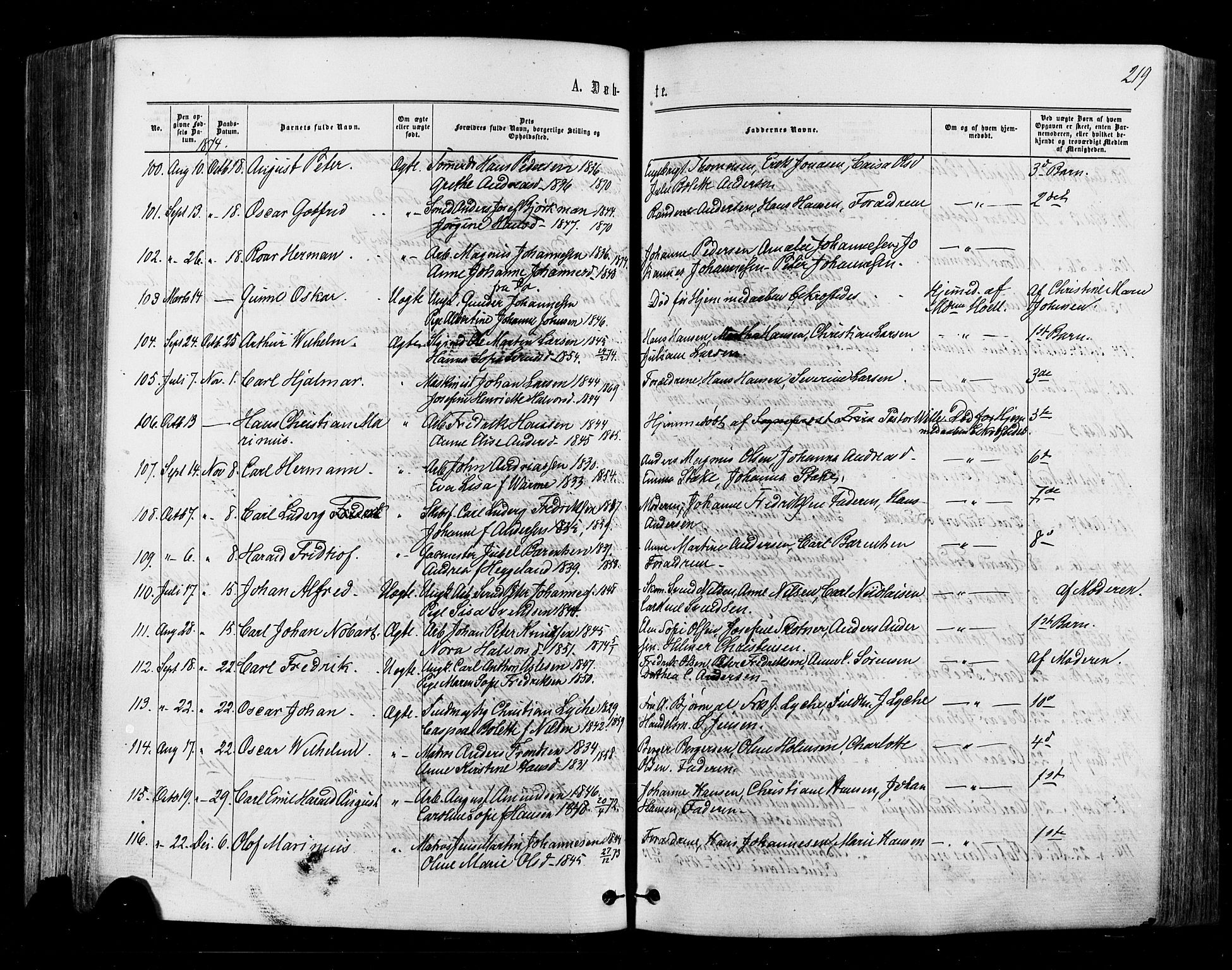 Halden prestekontor Kirkebøker, AV/SAO-A-10909/F/Fa/L0009: Parish register (official) no. I 9, 1866-1877, p. 219