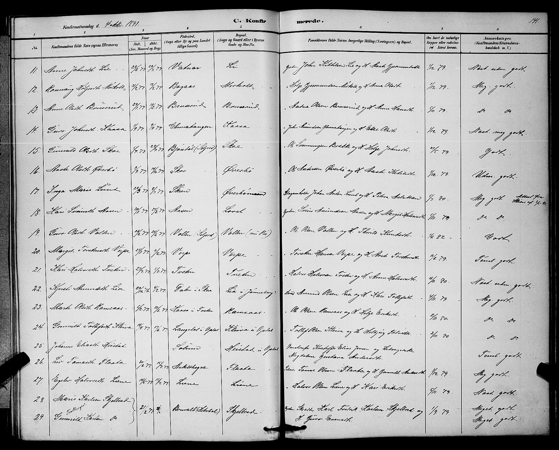 Bø kirkebøker, SAKO/A-257/G/Ga/L0005: Parish register (copy) no. 5, 1883-1897, p. 141