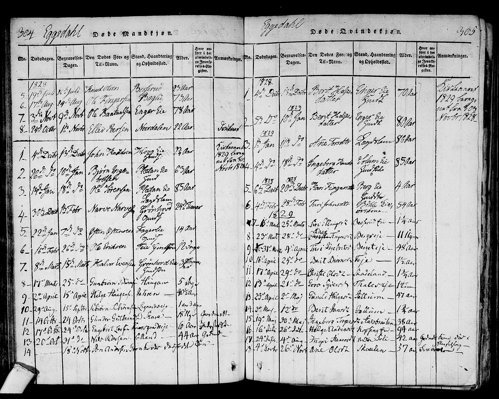 Sigdal kirkebøker, AV/SAKO-A-245/F/Fa/L0005: Parish register (official) no. I 5 /2, 1815-1829, p. 304-305