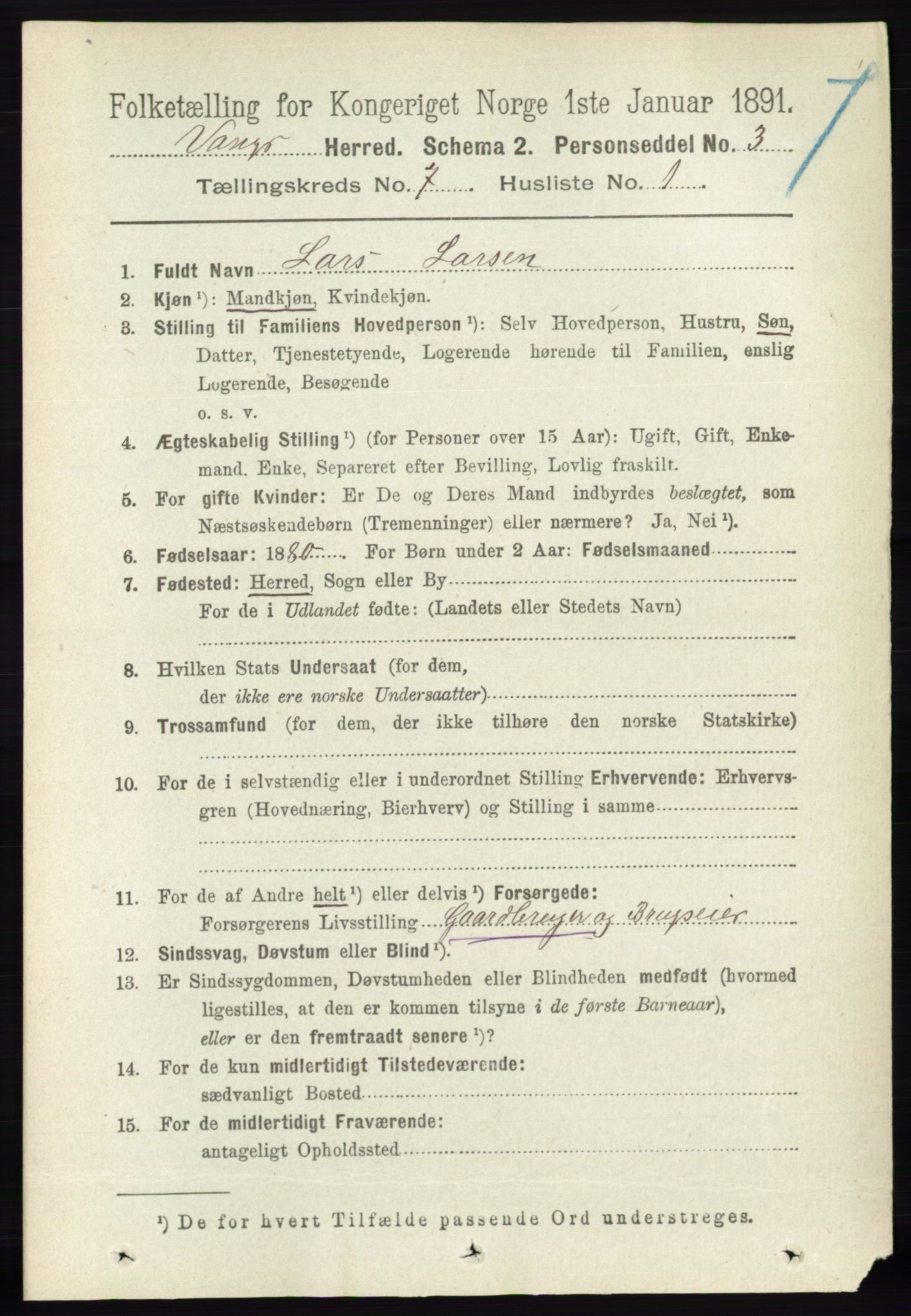 RA, 1891 census for 0414 Vang, 1891, p. 5028