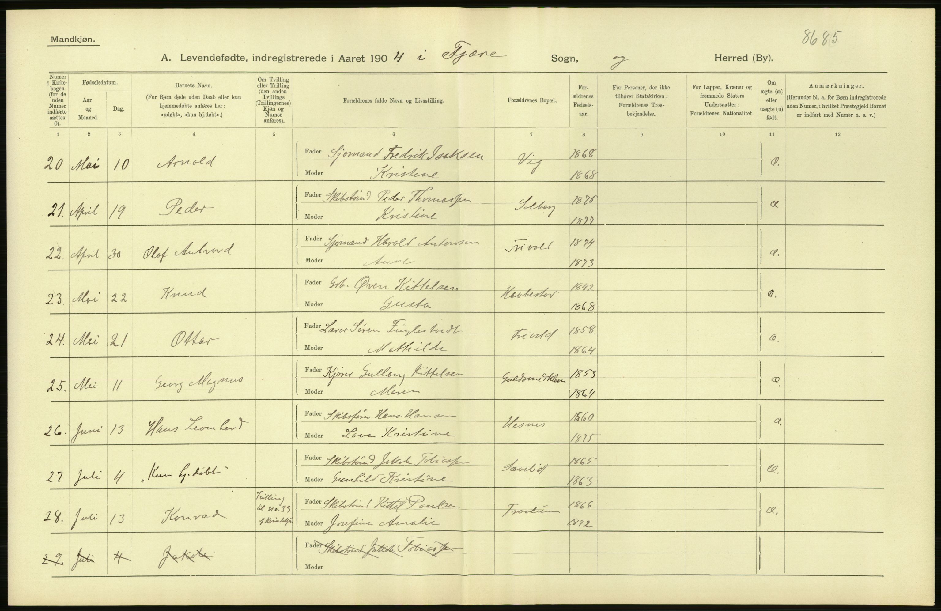 Statistisk sentralbyrå, Sosiodemografiske emner, Befolkning, AV/RA-S-2228/D/Df/Dfa/Dfab/L0010: Nedenes amt: Fødte, gifte, døde, 1904, p. 34