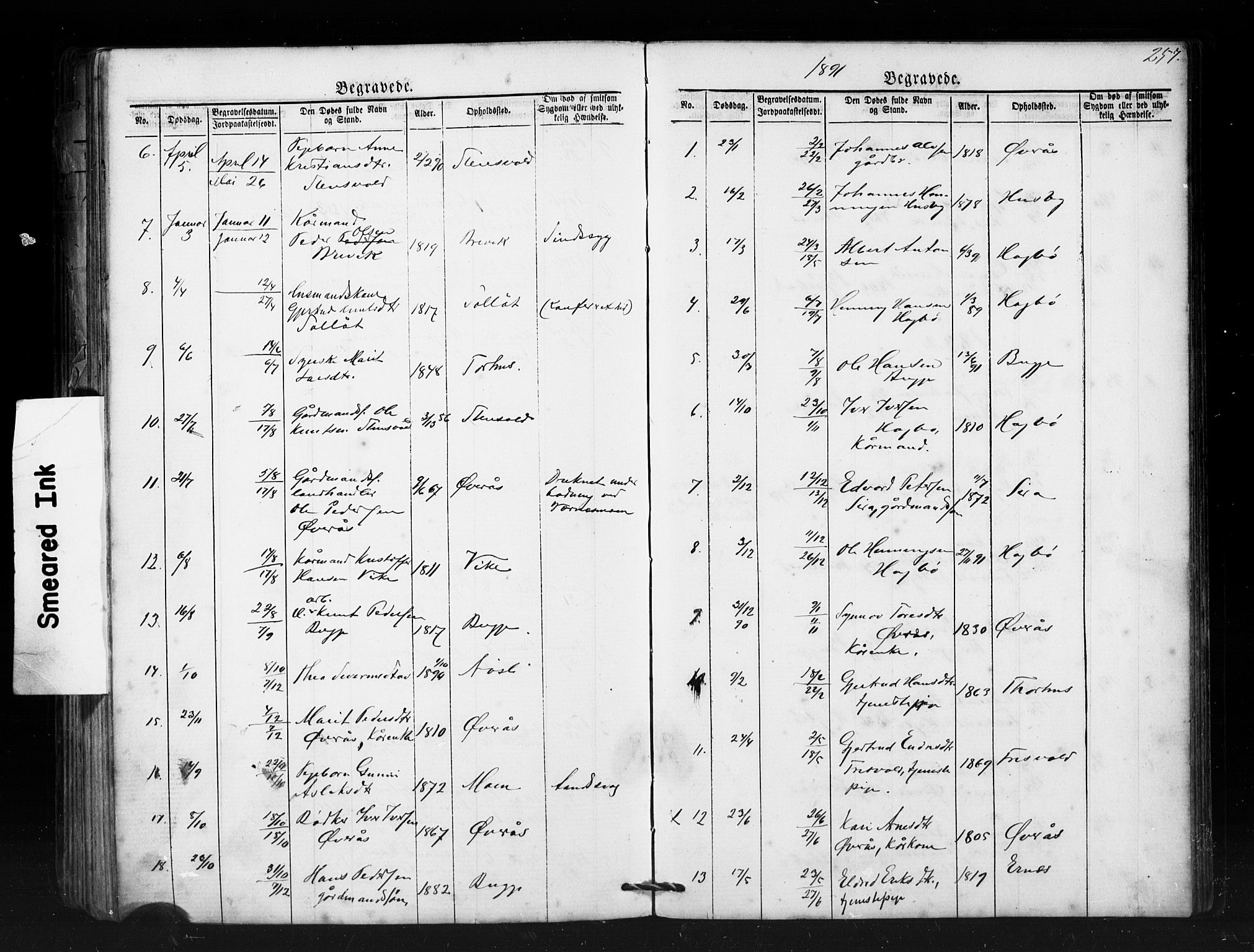 Ministerialprotokoller, klokkerbøker og fødselsregistre - Møre og Romsdal, AV/SAT-A-1454/552/L0638: Parish register (copy) no. 552C01, 1867-1902, p. 257