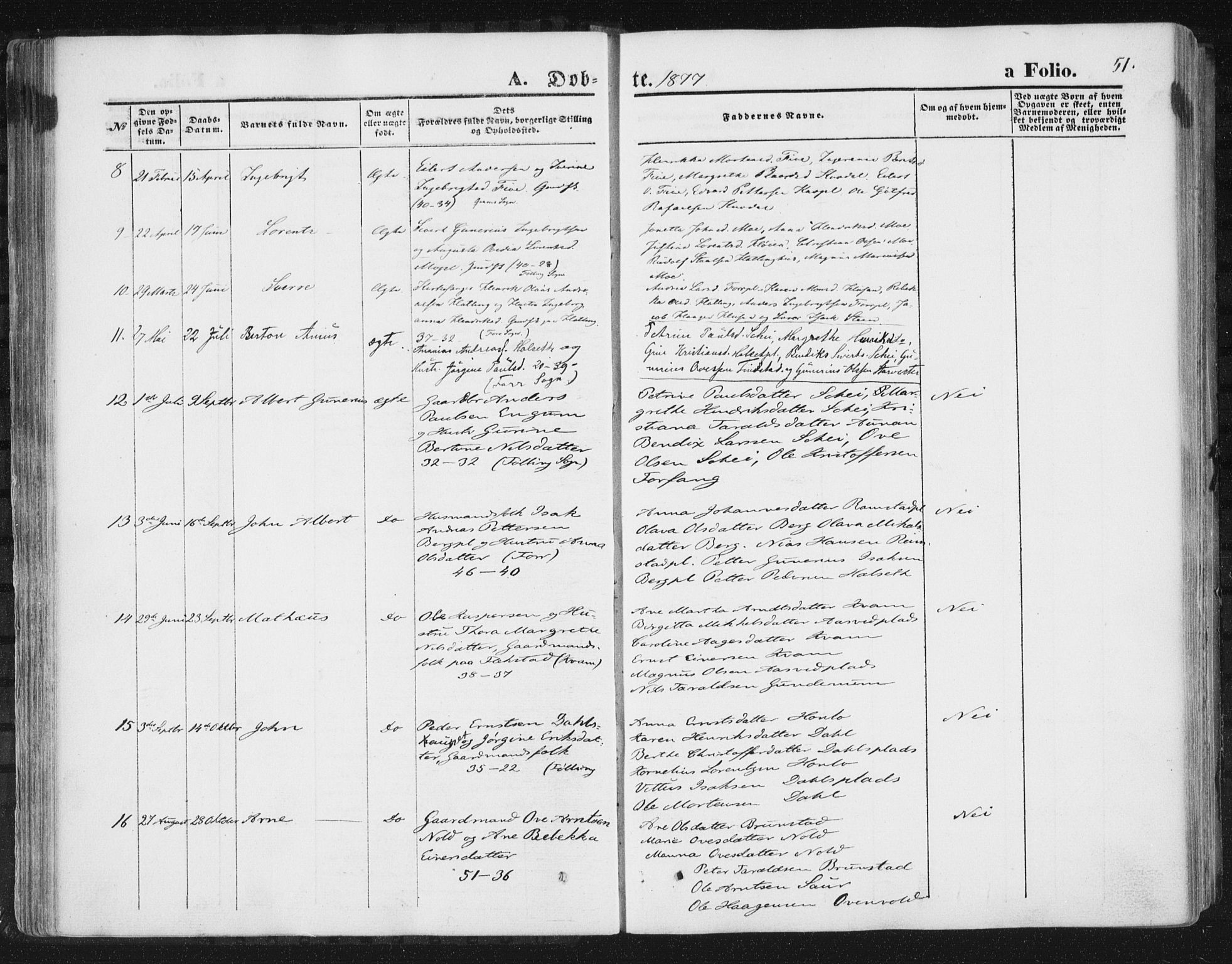 Ministerialprotokoller, klokkerbøker og fødselsregistre - Nord-Trøndelag, SAT/A-1458/746/L0447: Parish register (official) no. 746A06, 1860-1877, p. 51