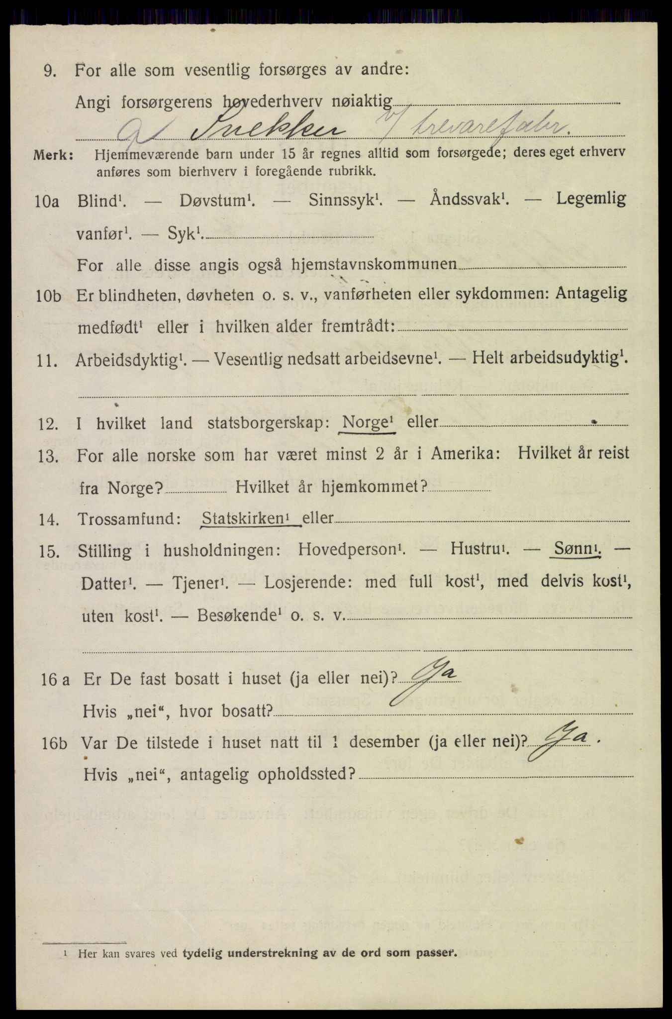 SAH, 1920 census for Hof, 1920, p. 7096