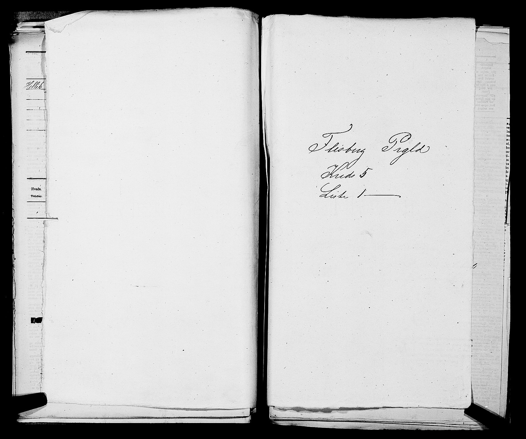 SAKO, 1875 census for 0631P Flesberg, 1875, p. 881