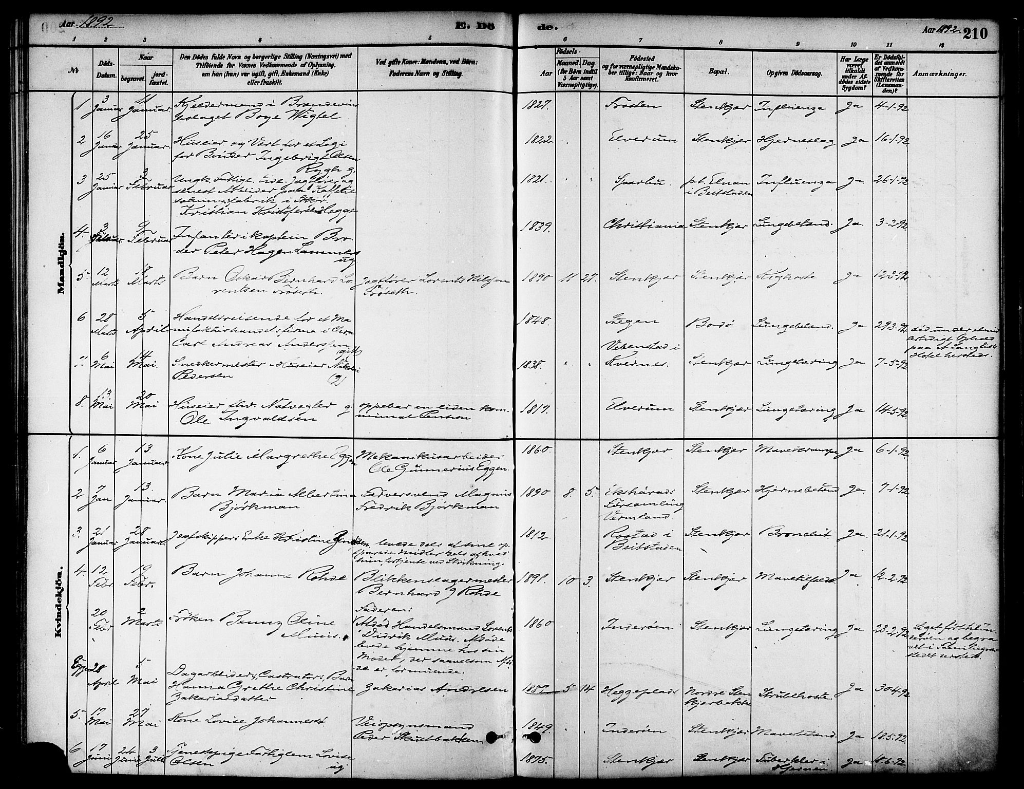 Ministerialprotokoller, klokkerbøker og fødselsregistre - Nord-Trøndelag, SAT/A-1458/739/L0371: Parish register (official) no. 739A03, 1881-1895, p. 210