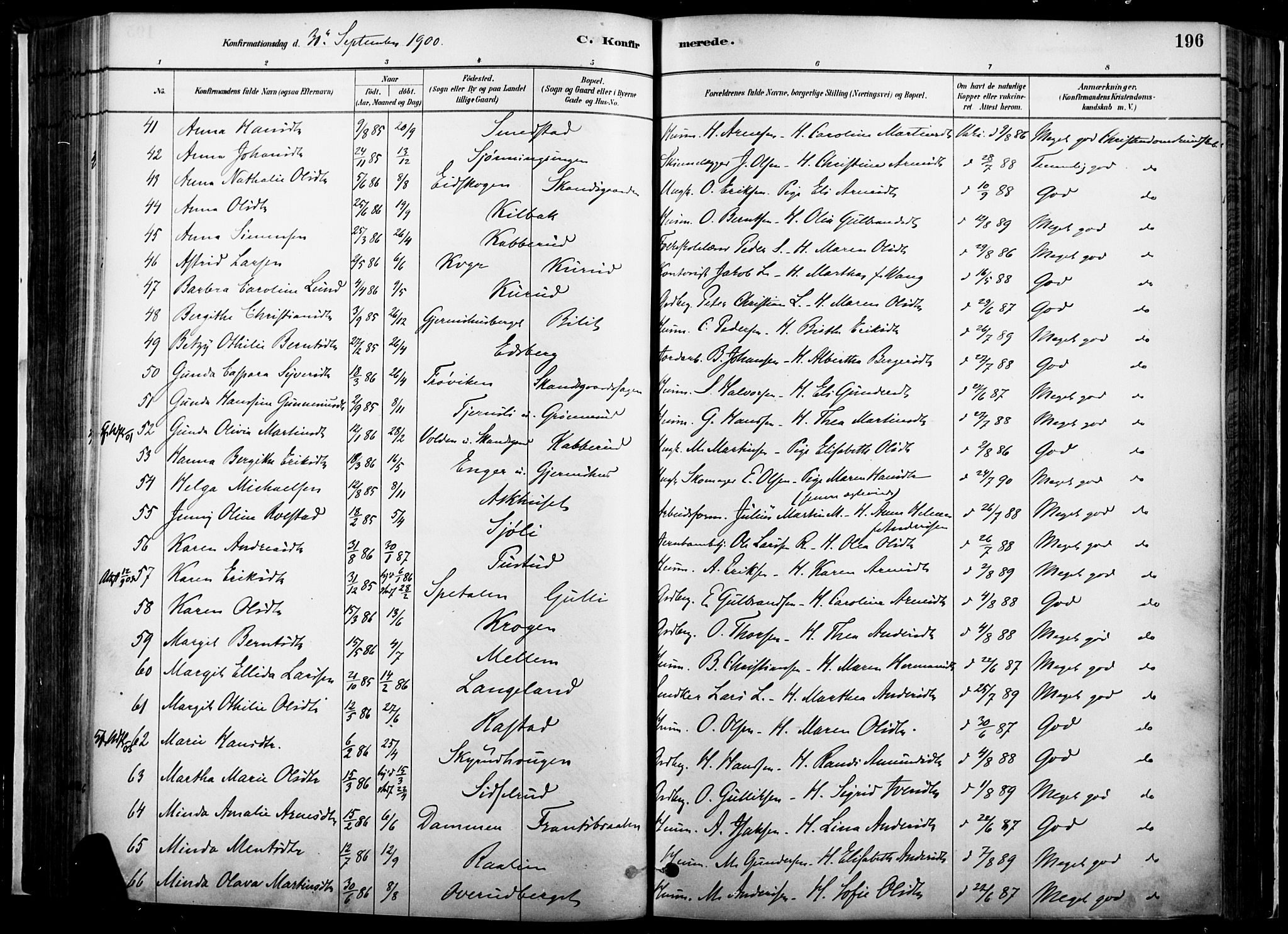 Vinger prestekontor, AV/SAH-PREST-024/H/Ha/Haa/L0014: Parish register (official) no. 14, 1881-1900, p. 196