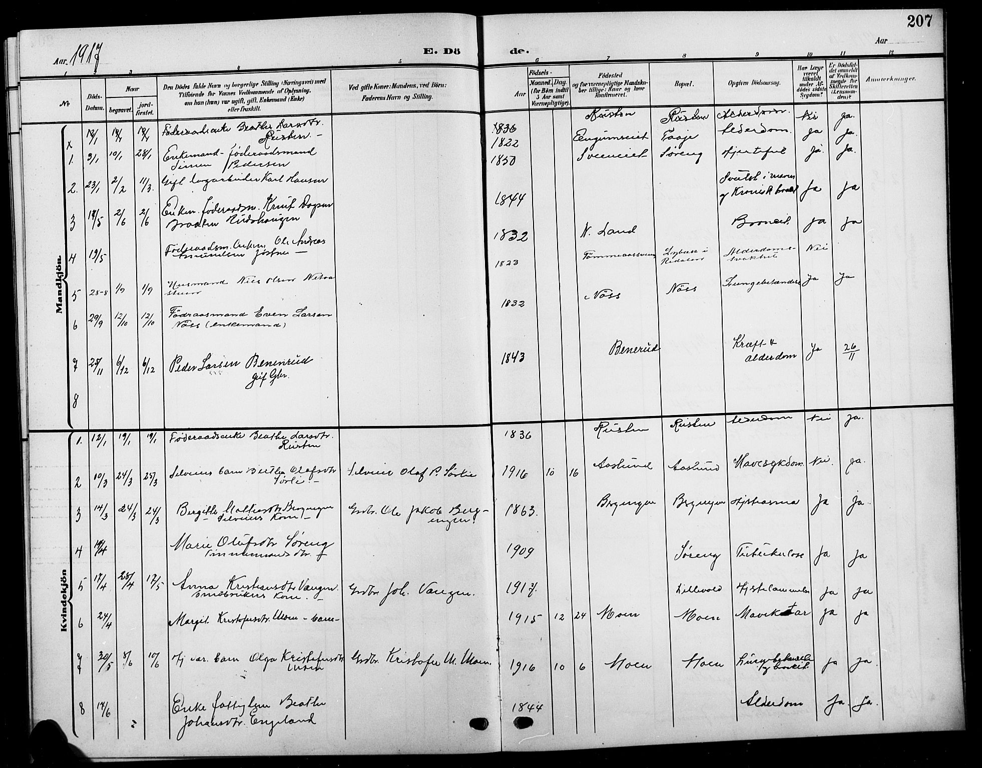 Biri prestekontor, SAH/PREST-096/H/Ha/Hab/L0005: Parish register (copy) no. 5, 1906-1919, p. 207