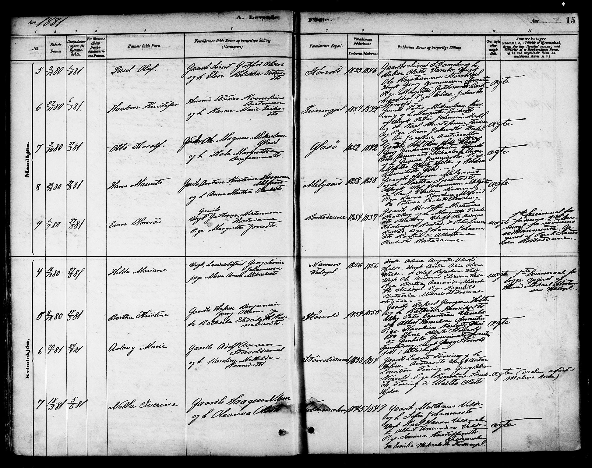 Ministerialprotokoller, klokkerbøker og fødselsregistre - Nord-Trøndelag, SAT/A-1458/741/L0395: Parish register (official) no. 741A09, 1878-1888, p. 15
