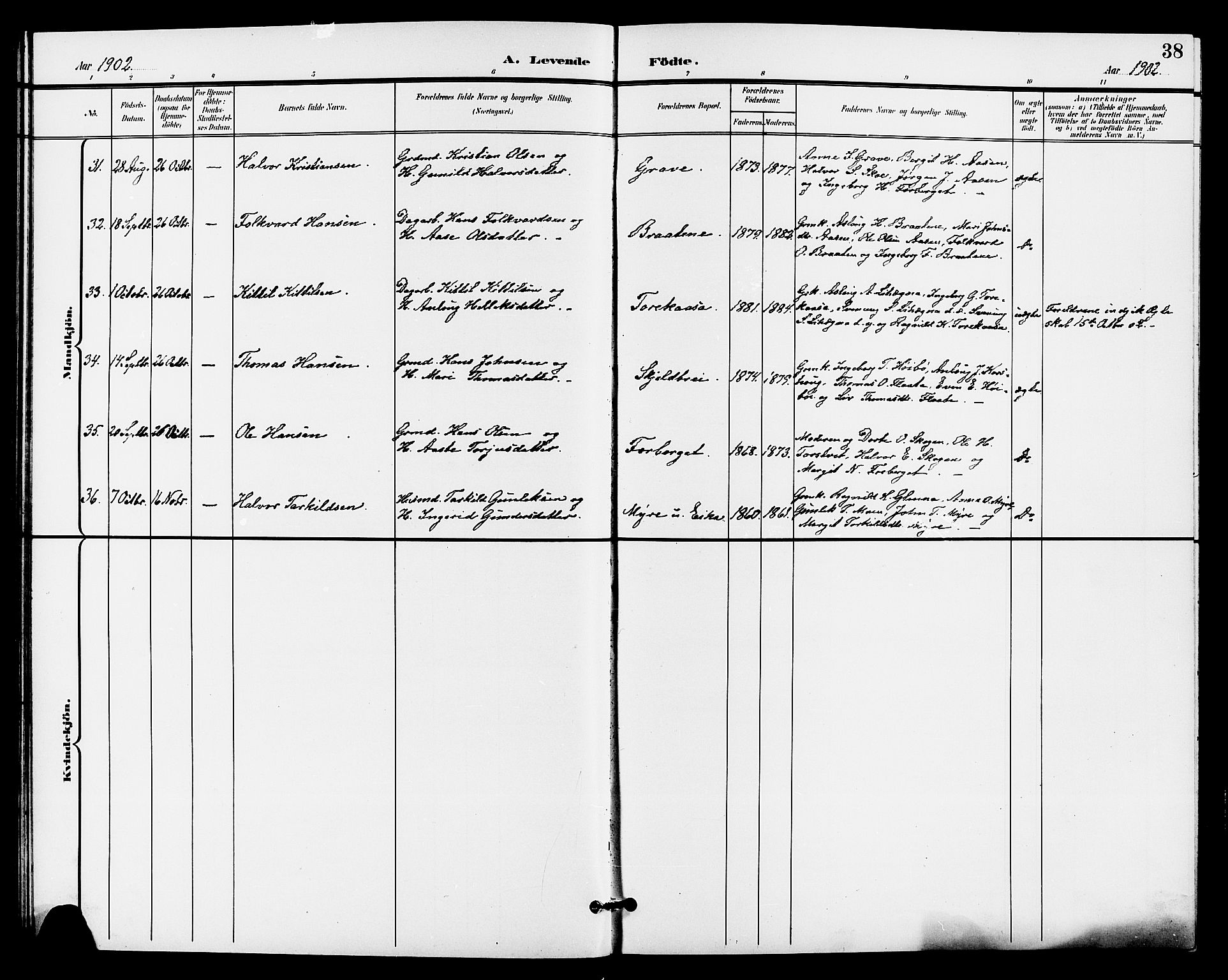 Bø kirkebøker, SAKO/A-257/G/Ga/L0006: Parish register (copy) no. 6, 1898-1909, p. 38