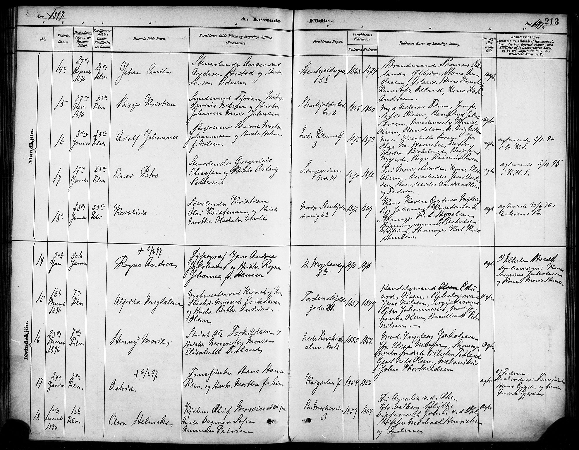 Korskirken sokneprestembete, AV/SAB-A-76101/H/Haa/L0022: Parish register (official) no. B 8, 1889-1899, p. 213