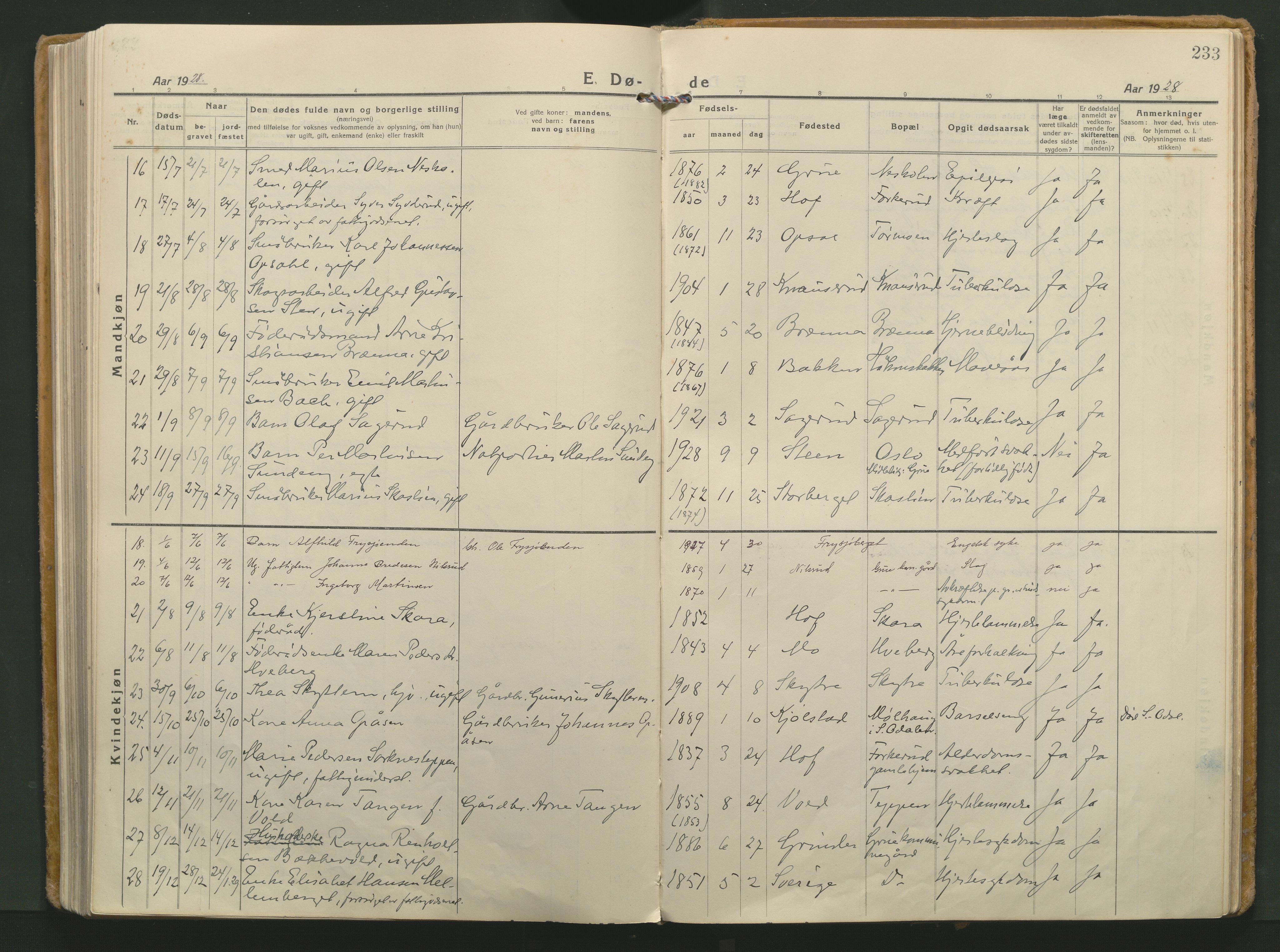 Grue prestekontor, SAH/PREST-036/H/Ha/Haa/L0018: Parish register (official) no. 18, 1923-1940, p. 233