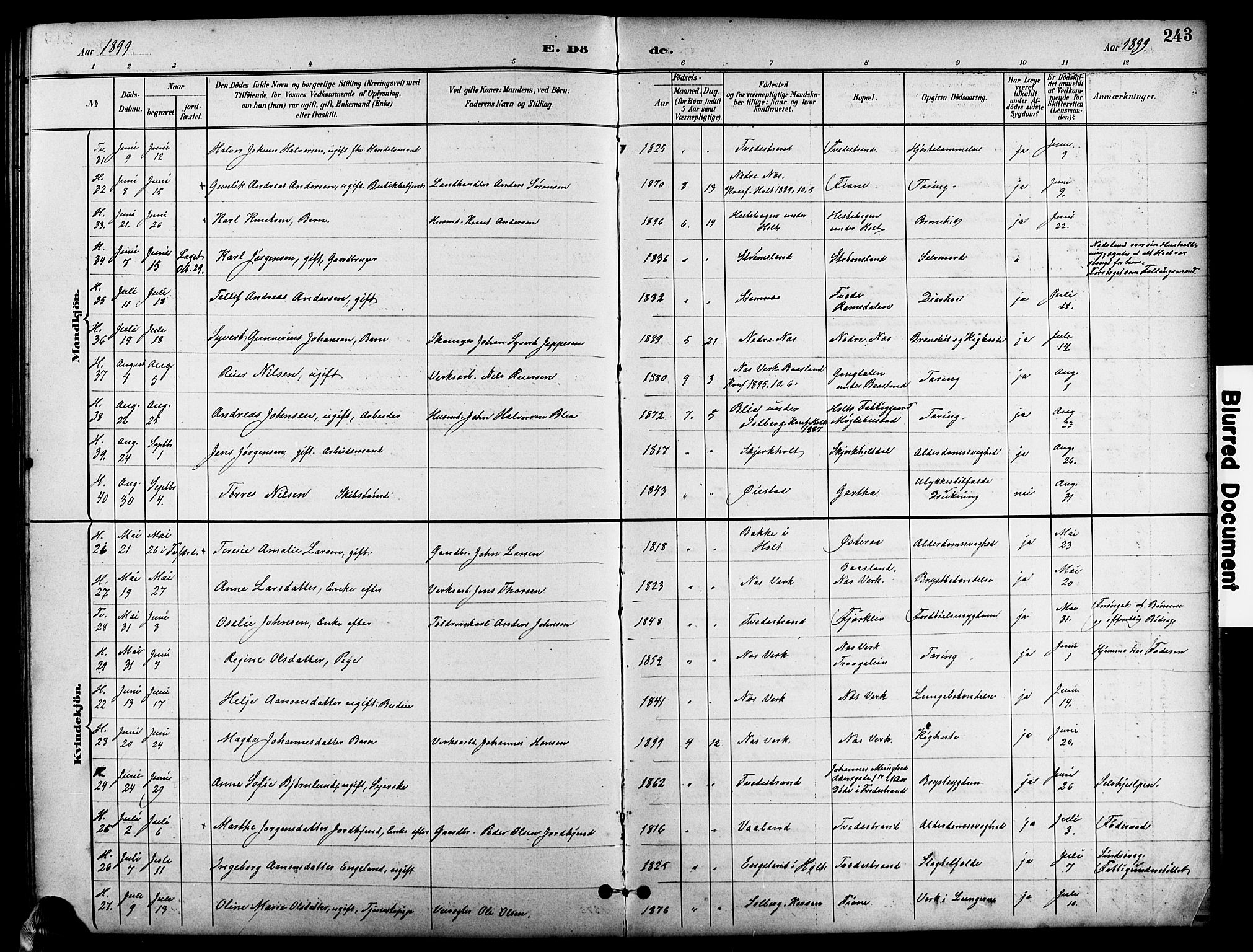 Holt sokneprestkontor, AV/SAK-1111-0021/F/Fb/L0011: Parish register (copy) no. B 11, 1897-1921, p. 243