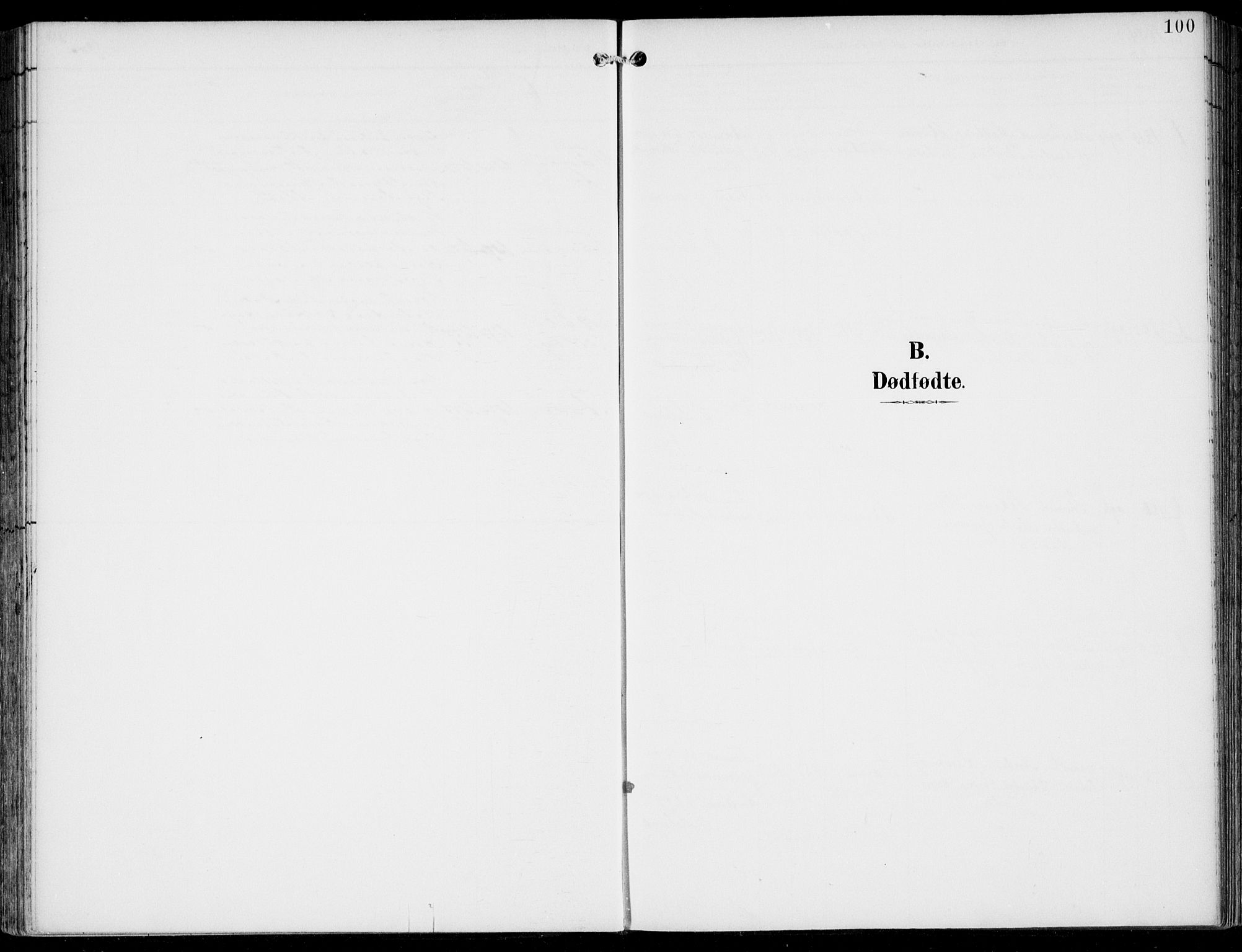 Sveio Sokneprestembete, SAB/A-78501/H/Haa: Parish register (official) no. B  3, 1894-1906, p. 100