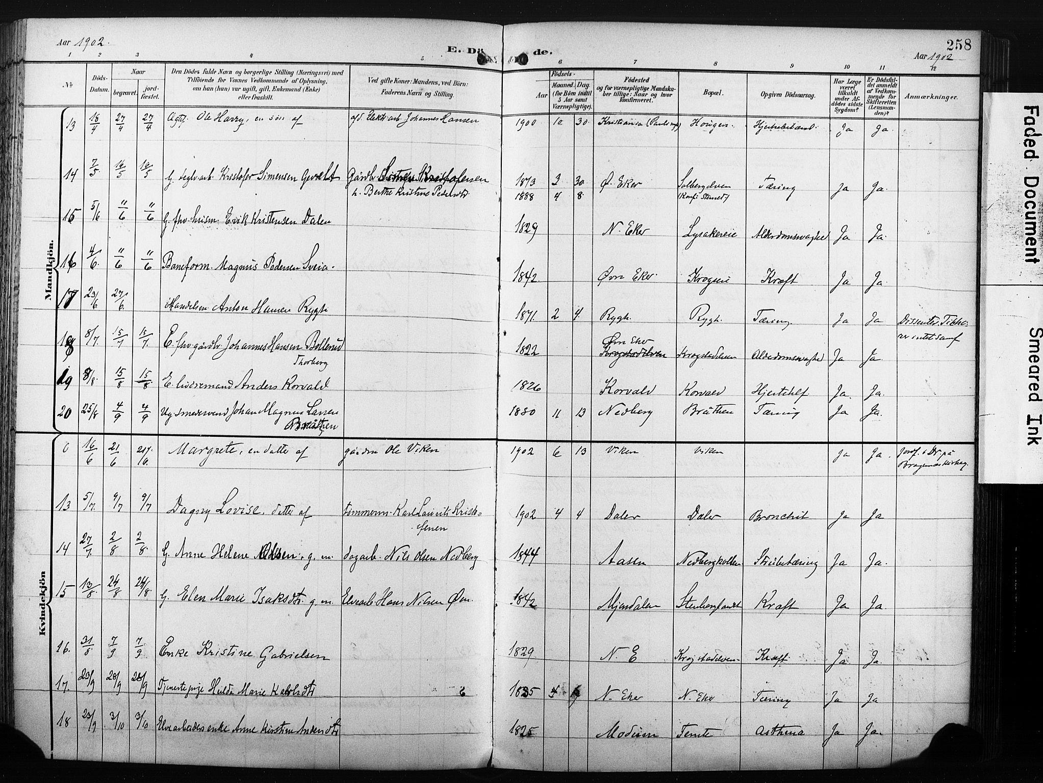 Nedre Eiker kirkebøker, AV/SAKO-A-612/F/Fa/L0005: Parish register (official) no. 5, 1898-1905, p. 258