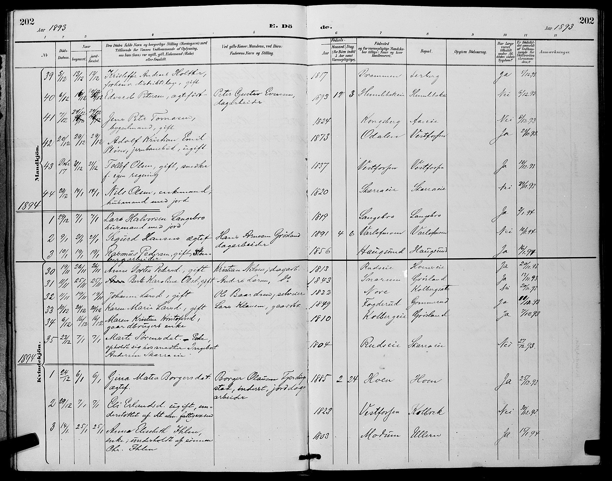 Eiker kirkebøker, SAKO/A-4/G/Ga/L0007: Parish register (copy) no. I 7, 1893-1902, p. 202