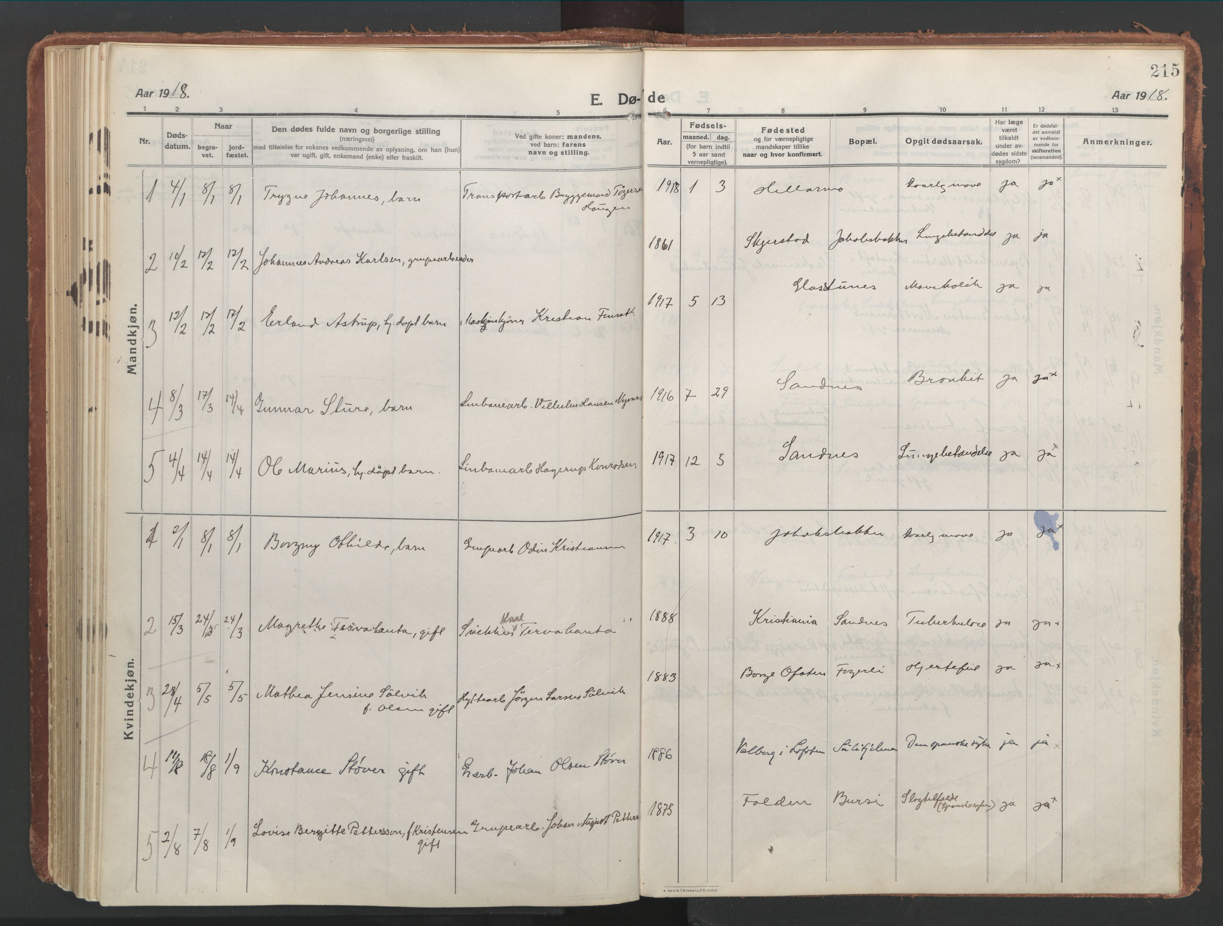 Ministerialprotokoller, klokkerbøker og fødselsregistre - Nordland, AV/SAT-A-1459/850/L0715: Curate's parish register no. 850B05, 1913-1924, p. 215