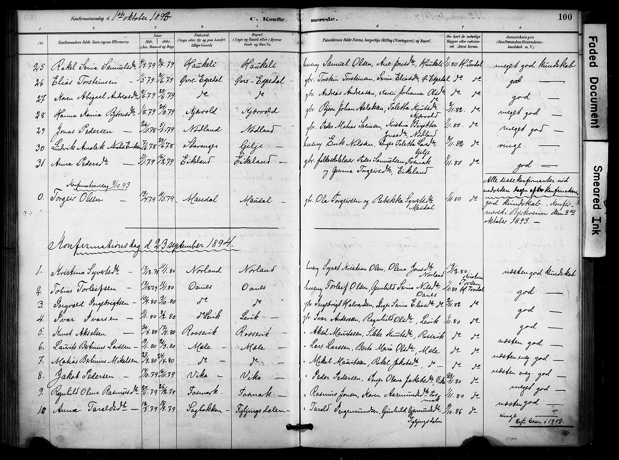 Høgsfjord sokneprestkontor, SAST/A-101624/H/Ha/Haa/L0006: Parish register (official) no. A 6, 1885-1897, p. 100