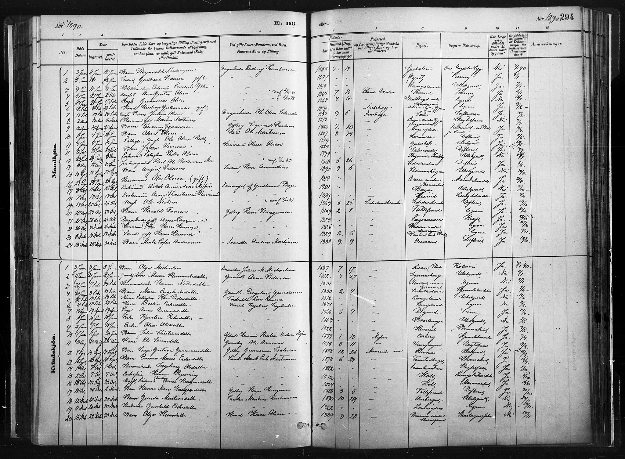 Vinger prestekontor, SAH/PREST-024/H/Ha/Haa/L0014: Parish register (official) no. 14, 1881-1900, p. 294